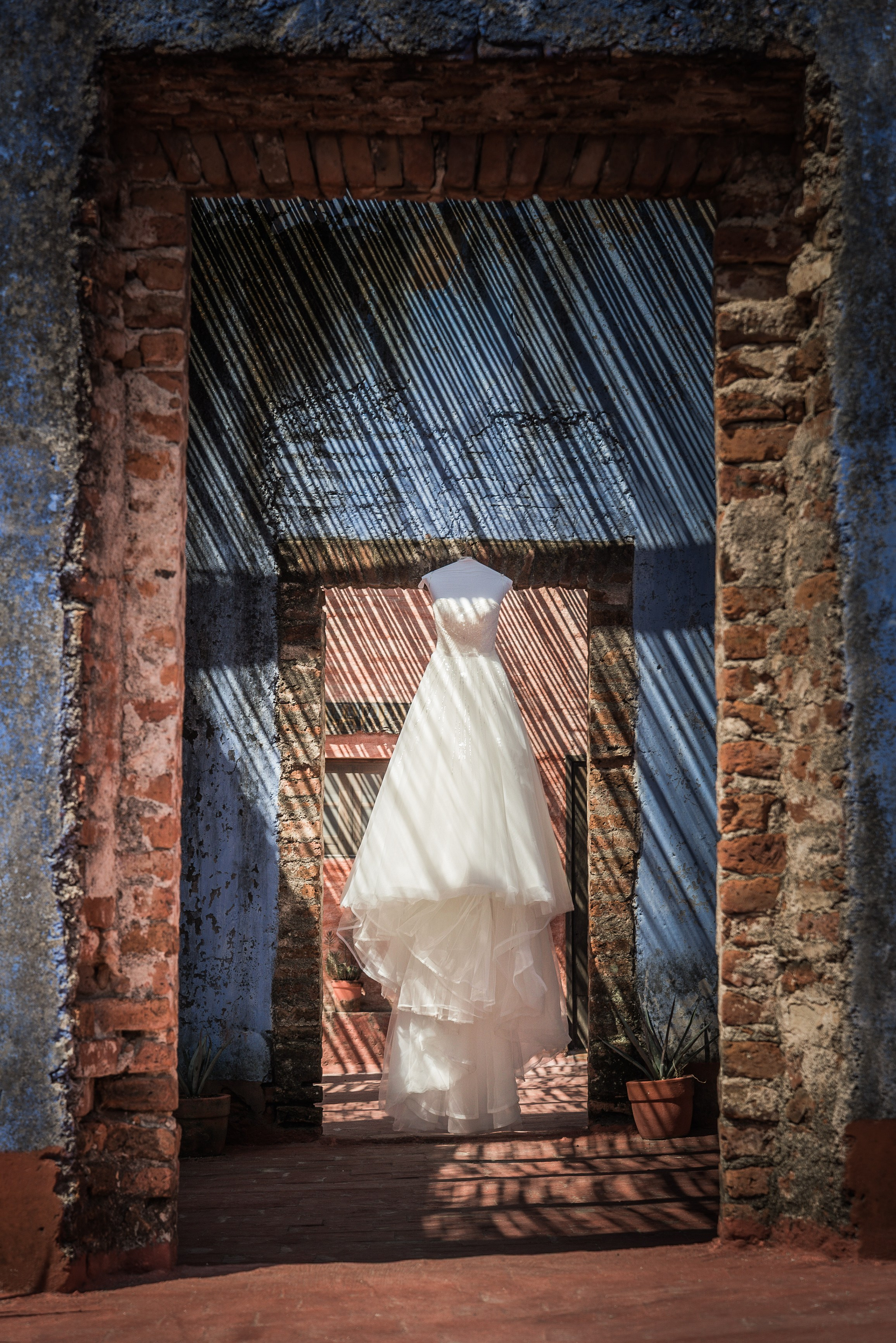 Fotógrafo Profesional en Guadalajara