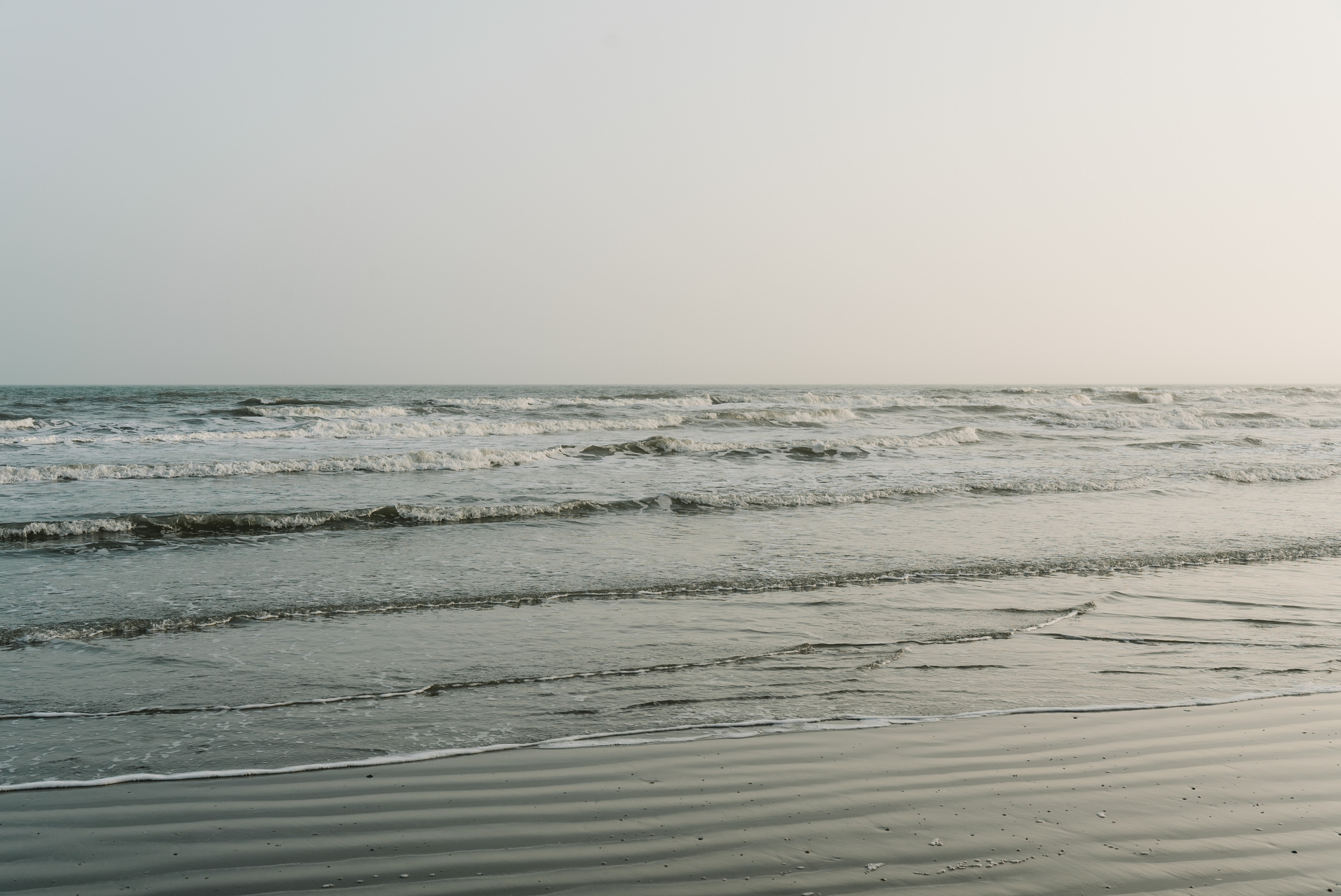 Ali & Mitra. Wedding photo and video Texas