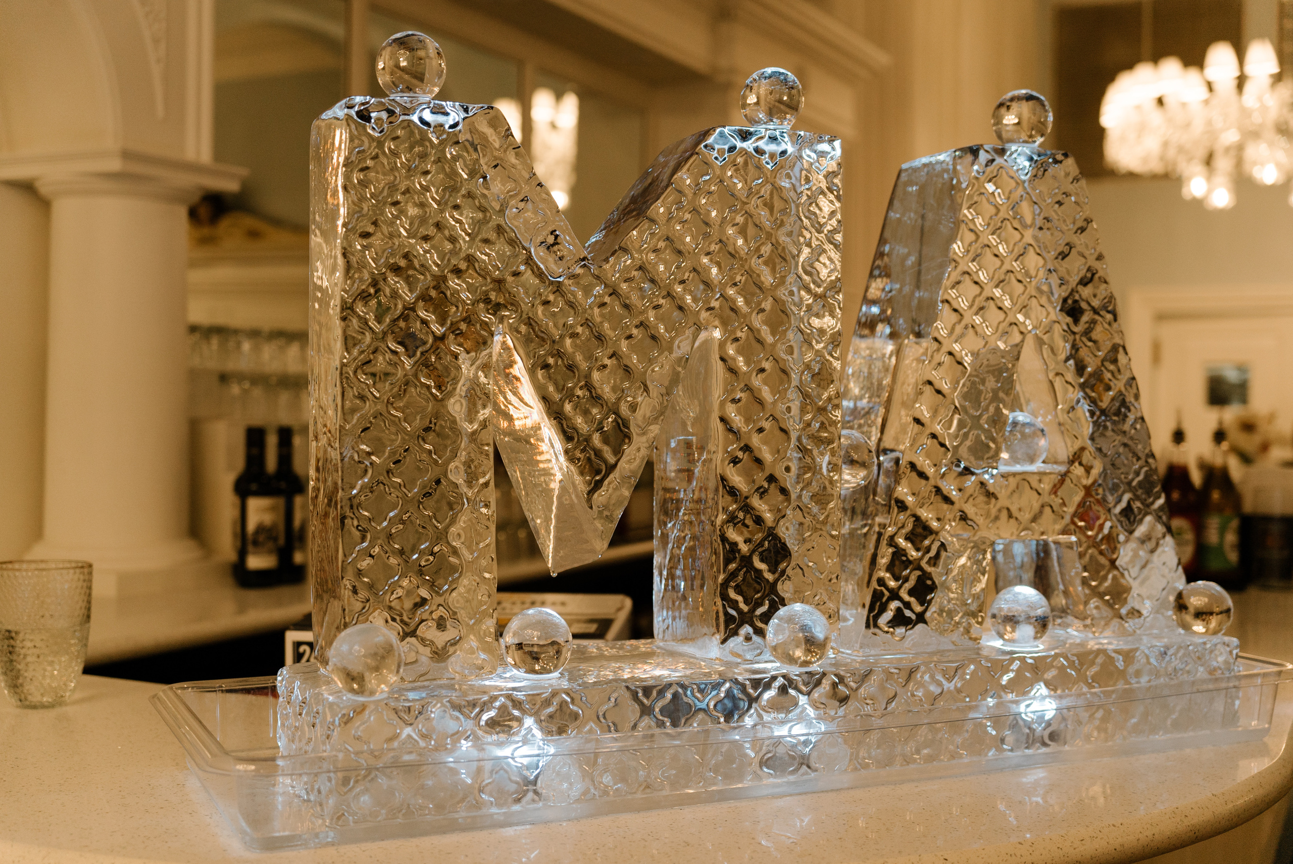 Ali & Mitra. Wedding photo and video Texas