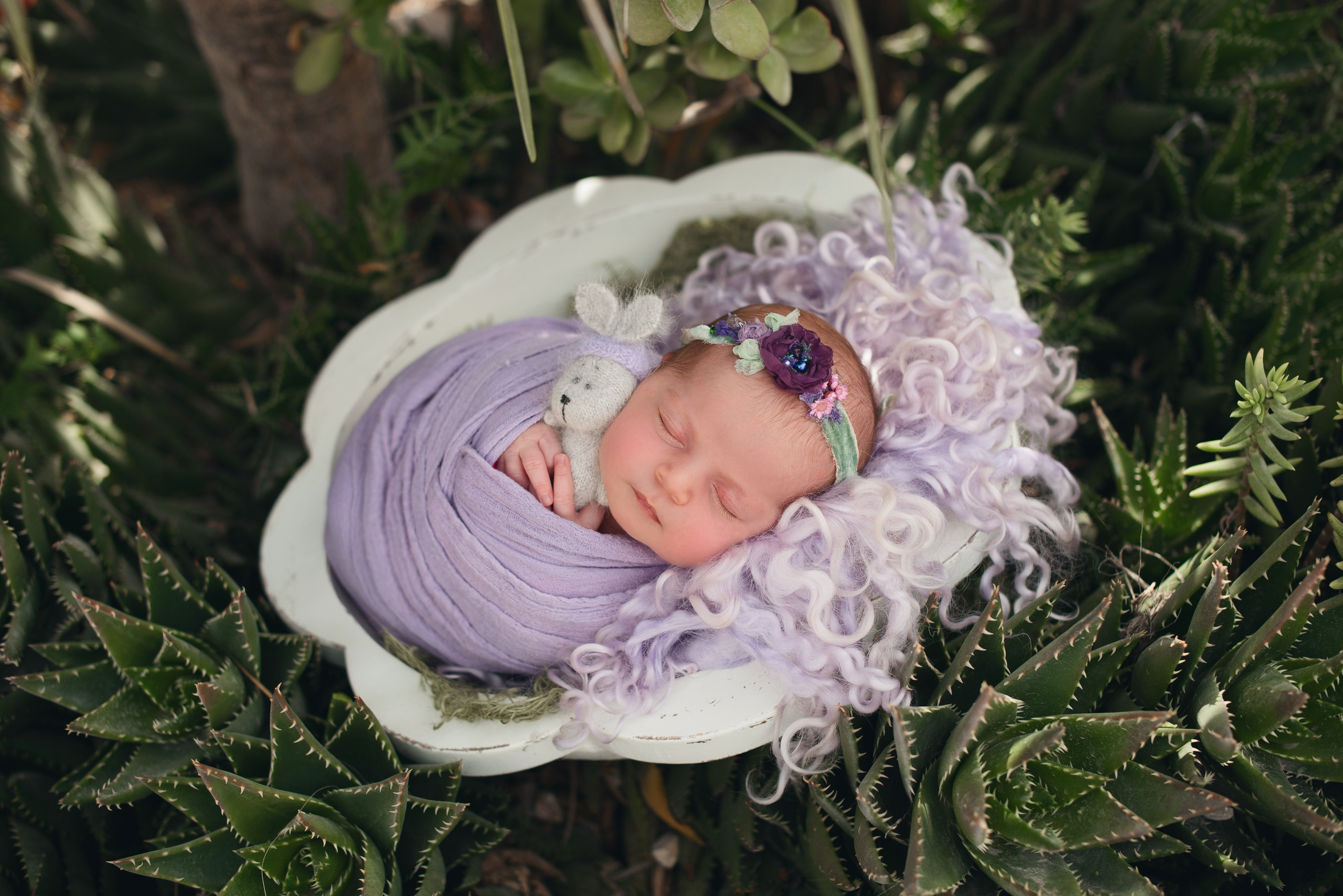 Naturaleza. Https://newbornphoto.wfolio.pro/me