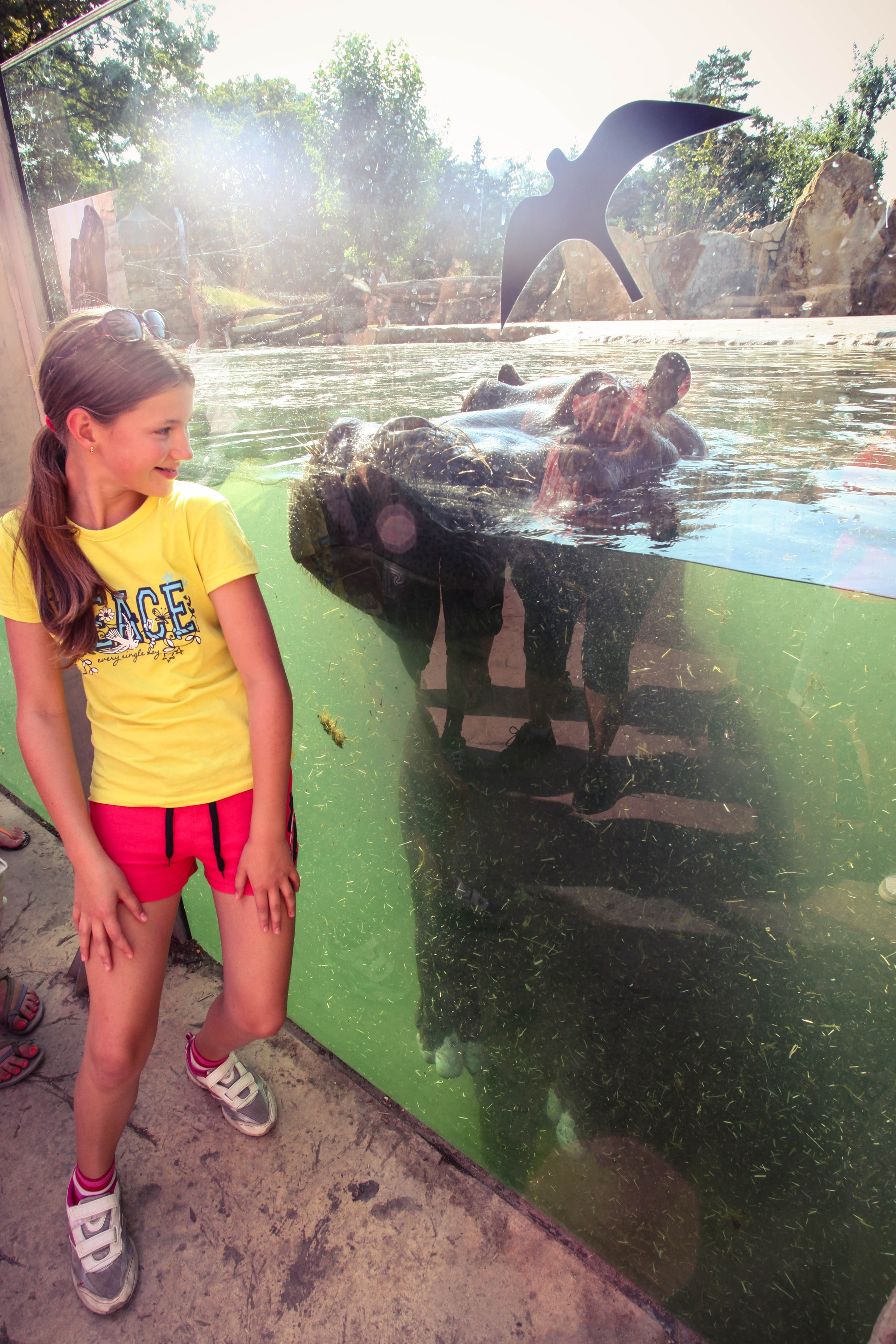 ЧЕХИЯ. Стрит-фотография, полная абсурда, идиотизма и красоты