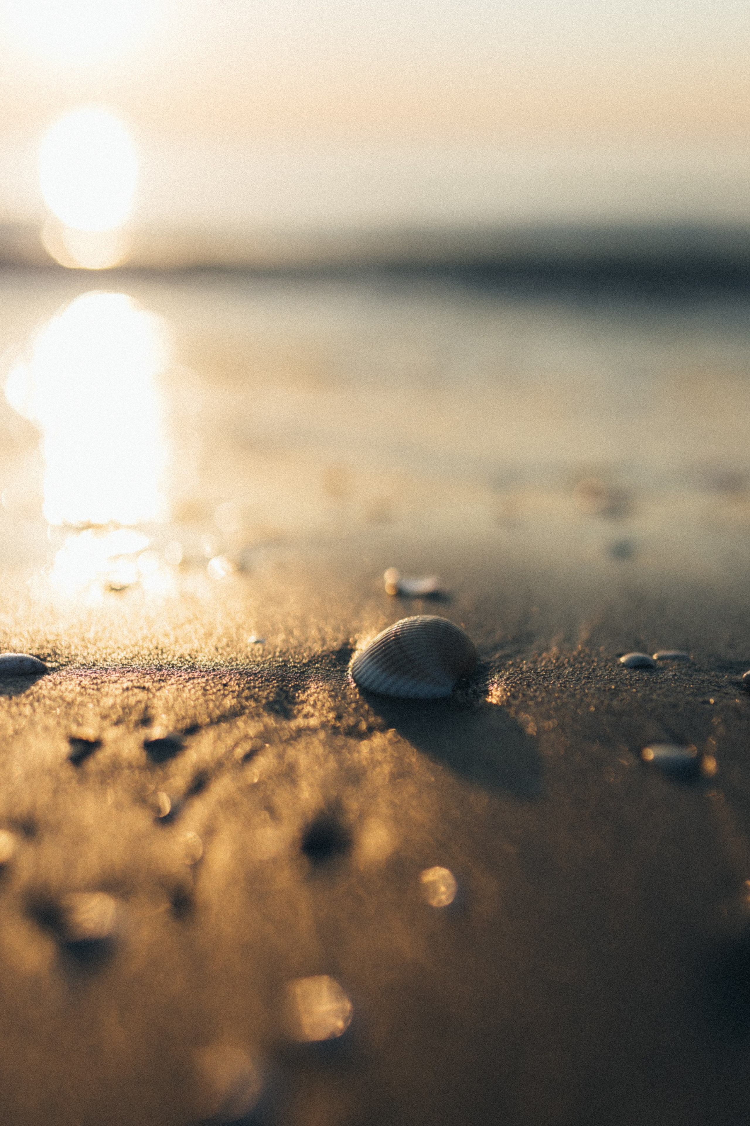 Arianna con mamma Ekaterina. Fotografo a Ravenna Nataliya Samsonova
