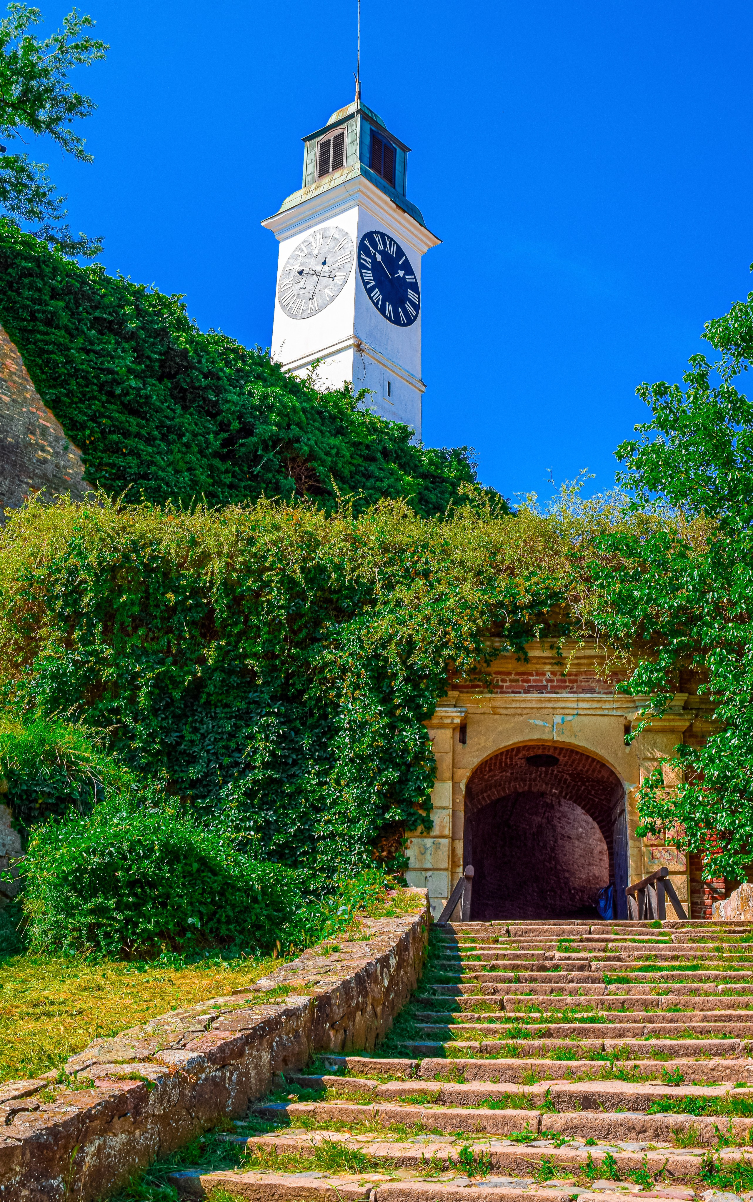 Петроварадин - галерија на продају. Викторија Федосеенко, фотограф у Србији