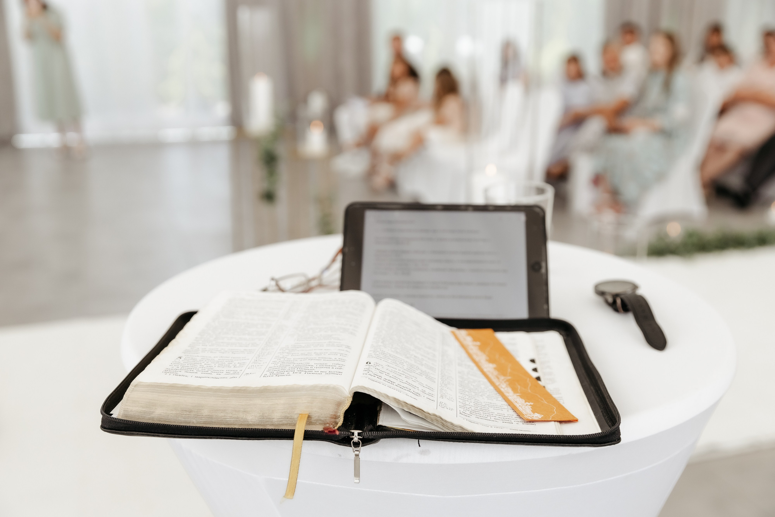 Аліна та Давид. Ірина Терещук