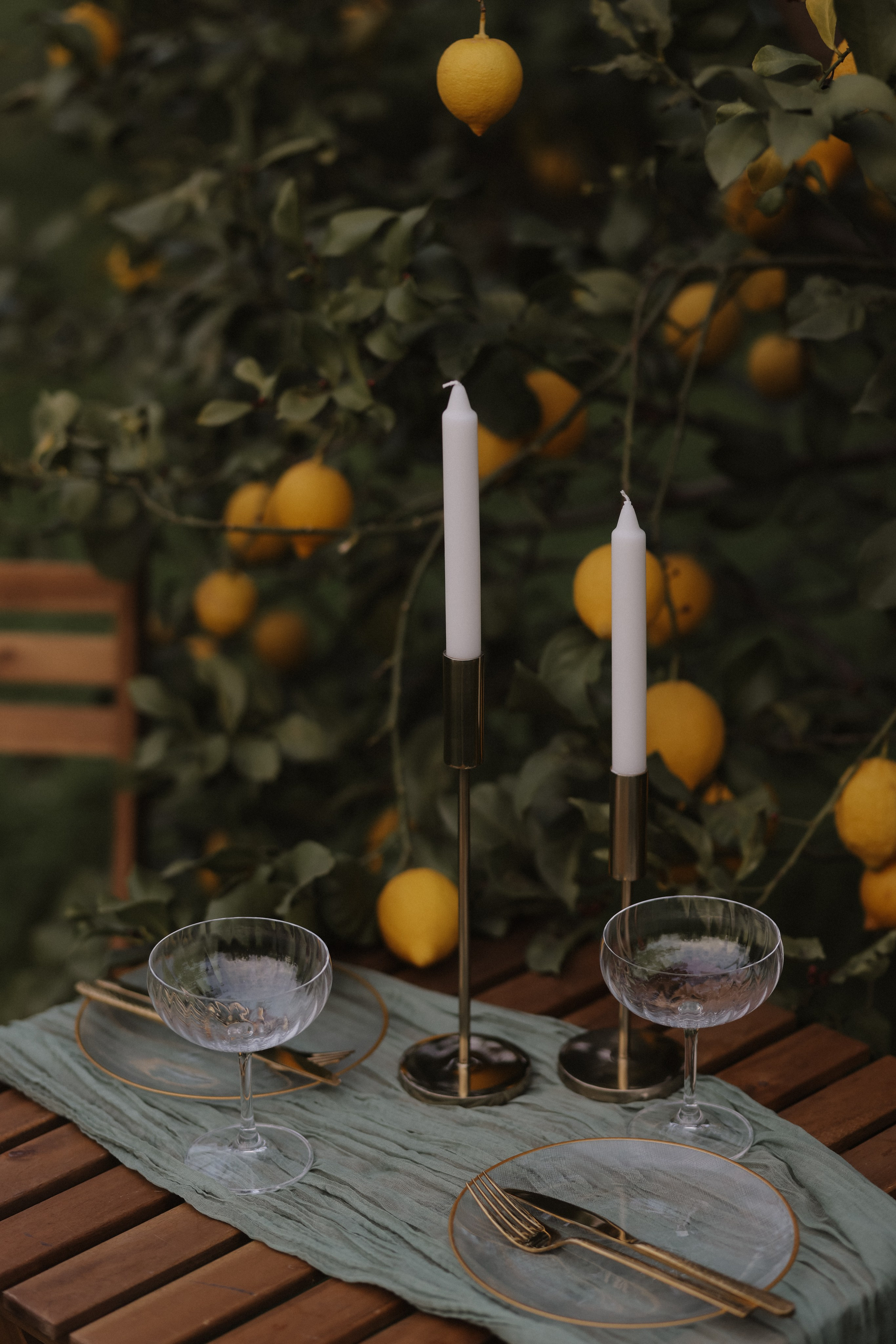 Пикник в Алании. Декор в Алании