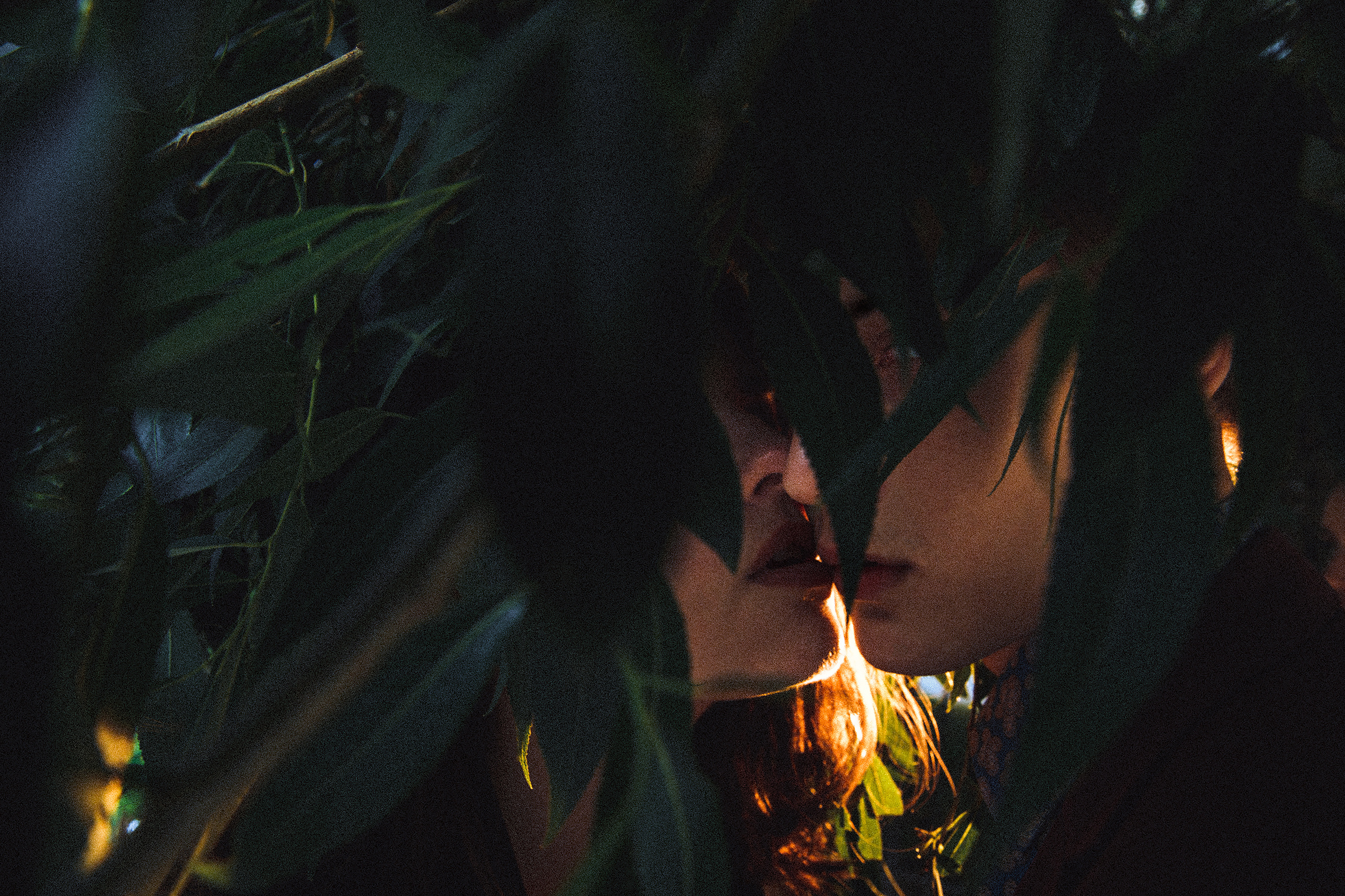 No cash. Wedding Photographer Tel-Aviv