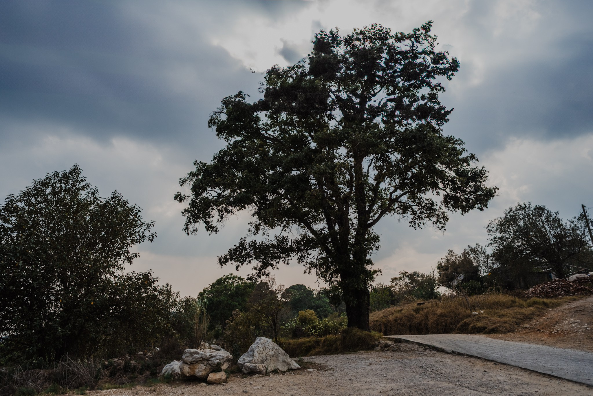 Bosques de San Cristóbal. 2025. Fotógrafo en Villahermosa | ERALPUCHE