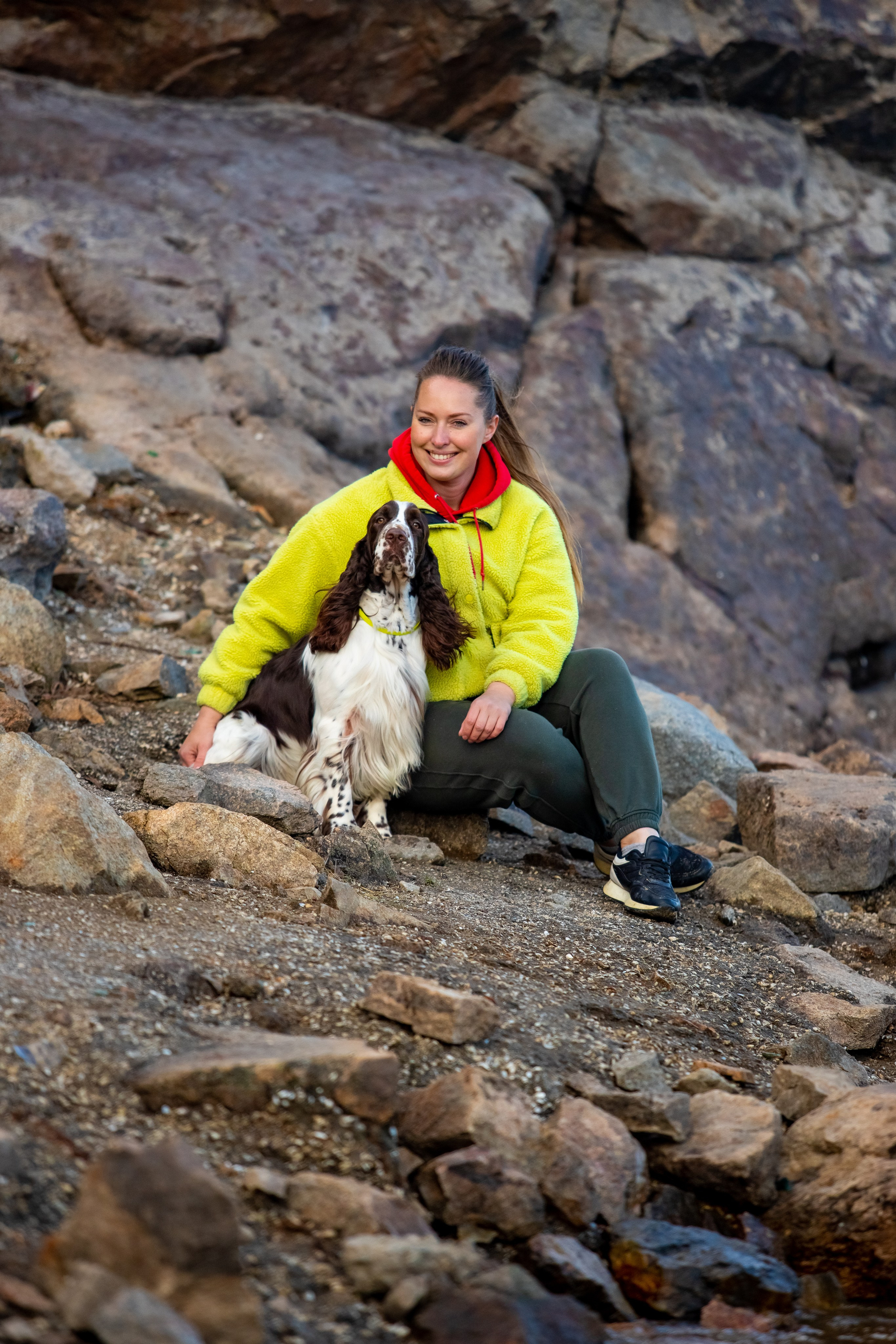 portrait of an English Springer Spaniel