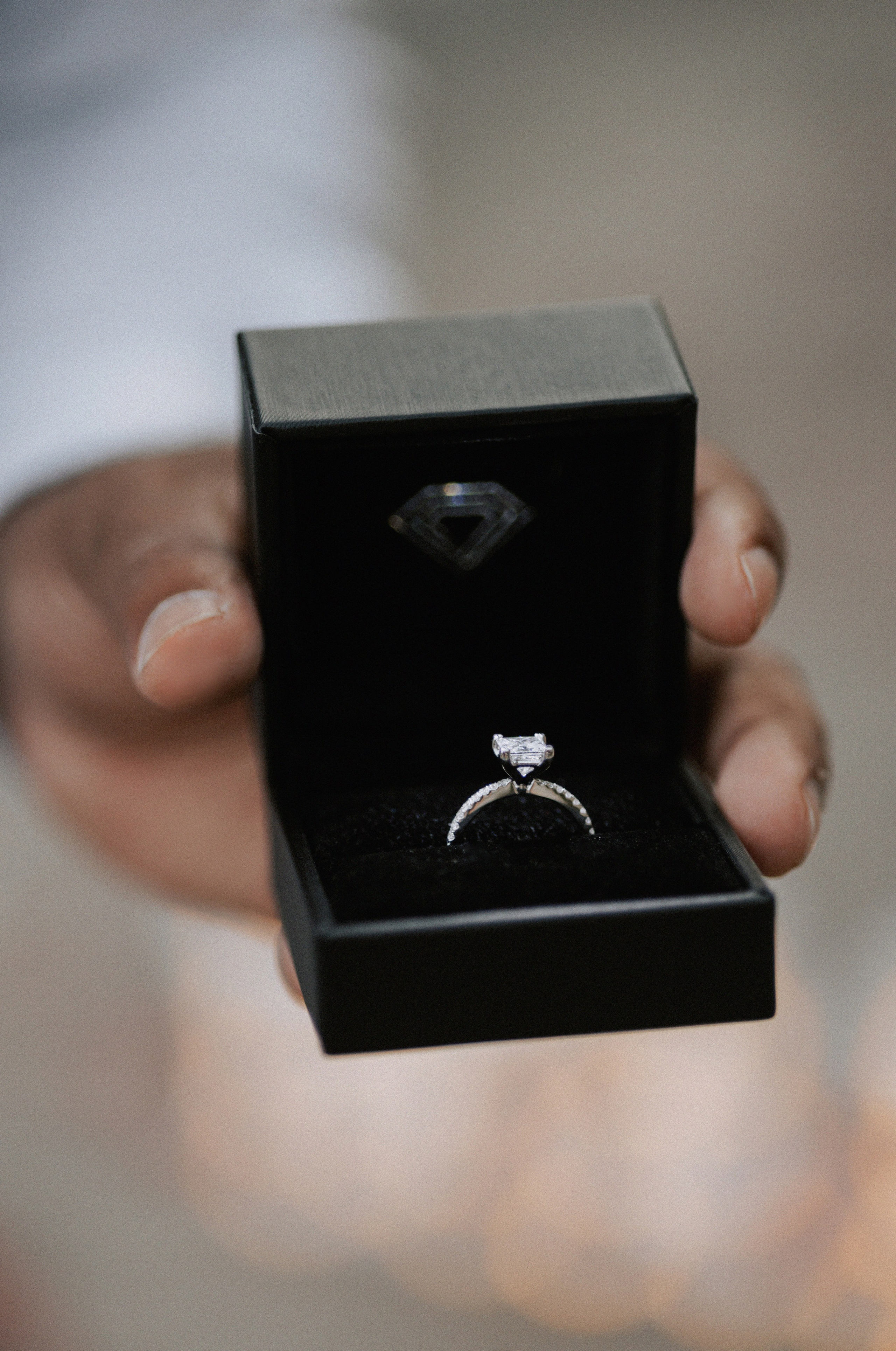 Proposal Scarborough Bluffs. Chernenko.photography