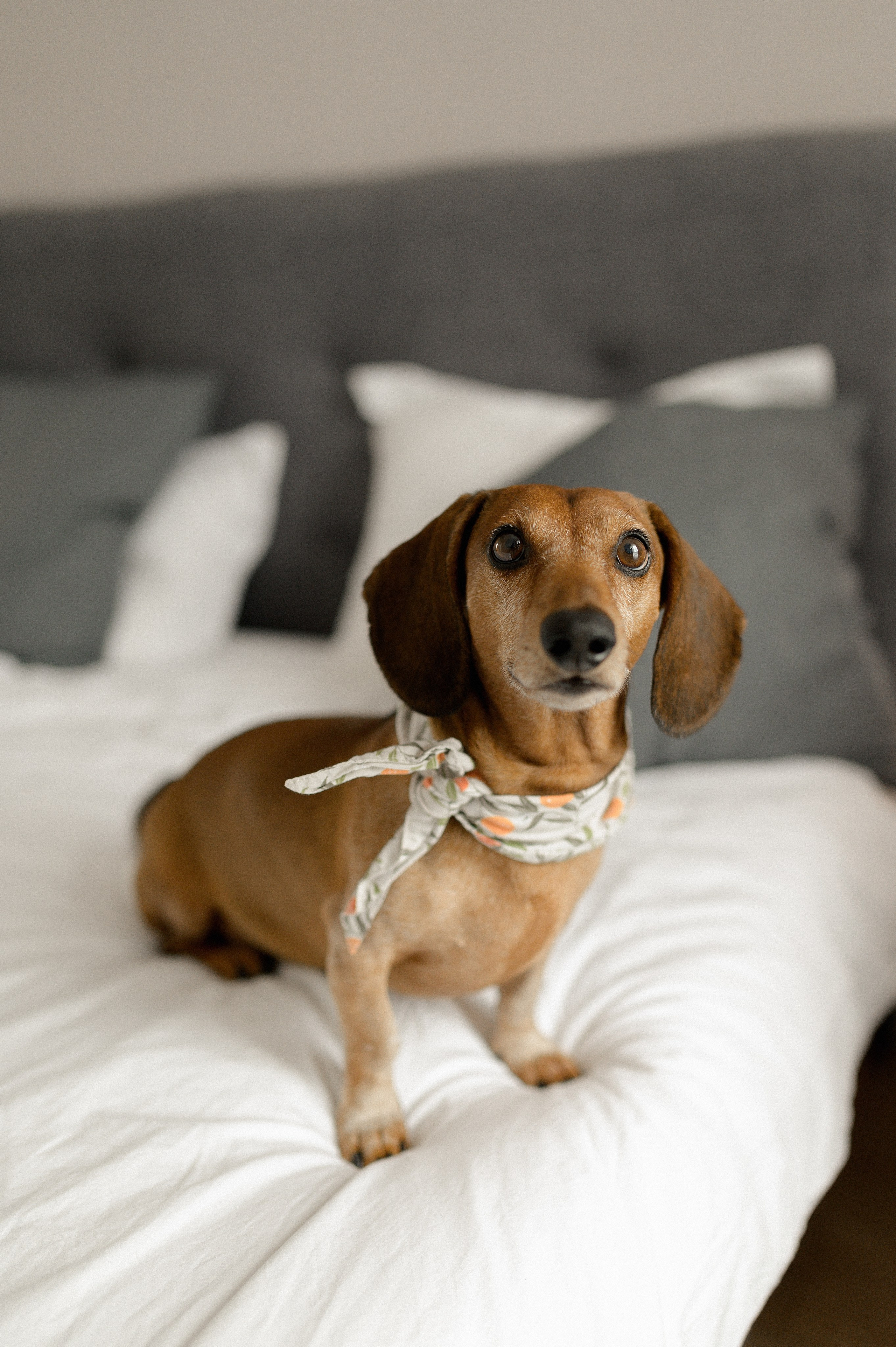 Dasha, 2023. Wedding photographer in Wroclaw Warsaw Krakow Margarita Tuleiko