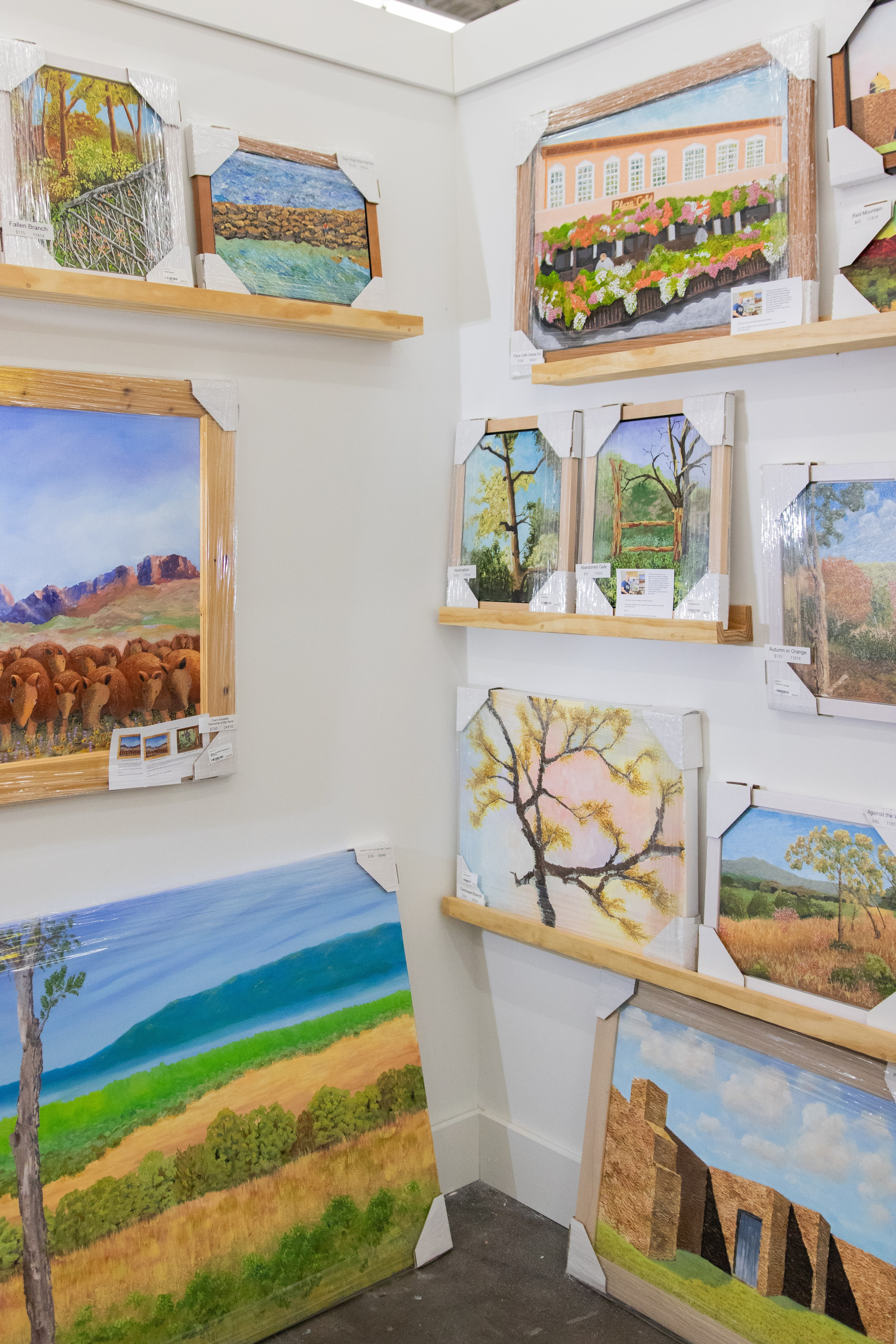 Painted Tree Boutiques winter 2026 retail collection photoshoot in Round Rock