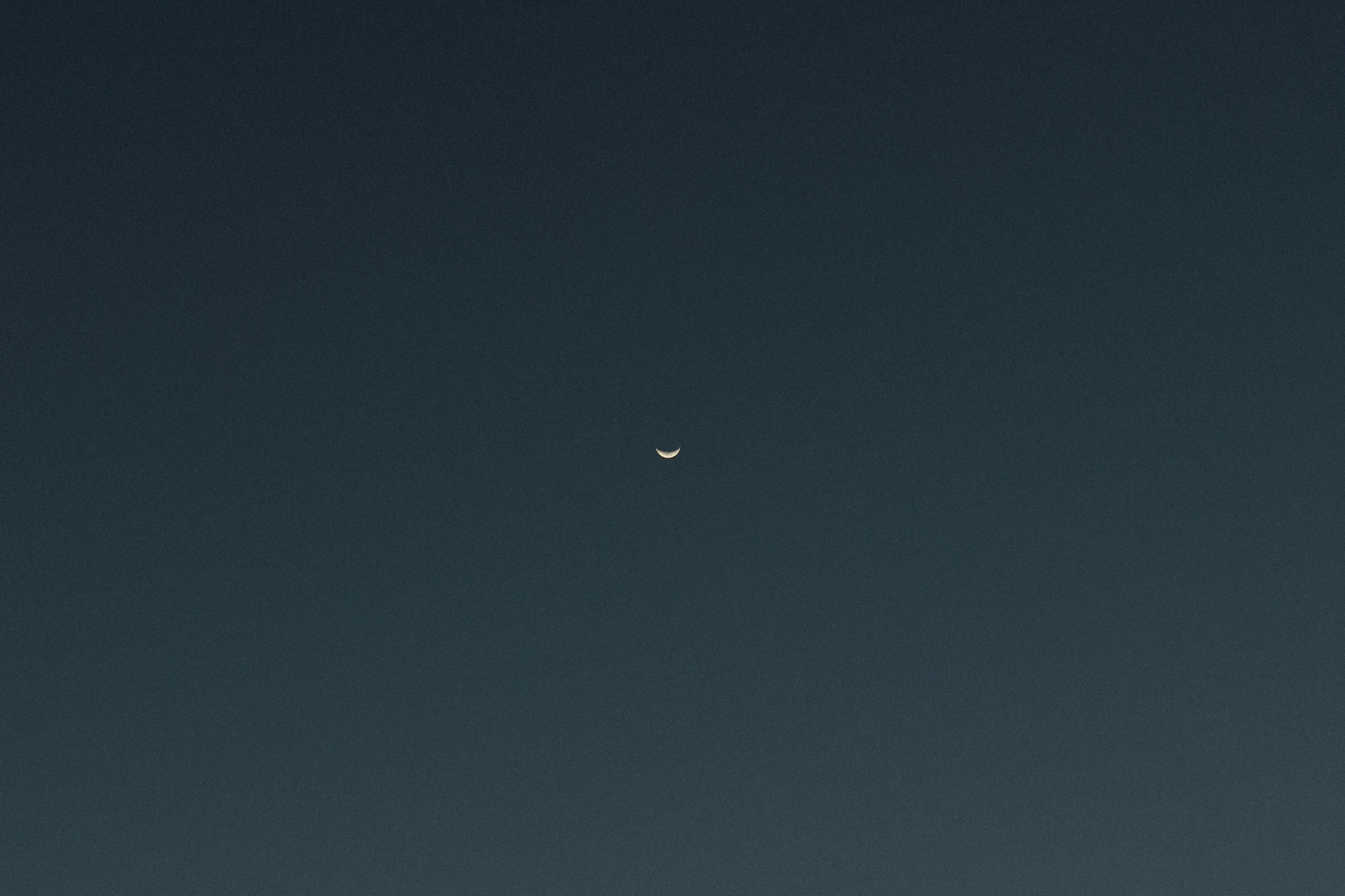 Couple Sessions. Wedding Photographer in Brazil | Based in Paraná, available across Brazil and worldwide