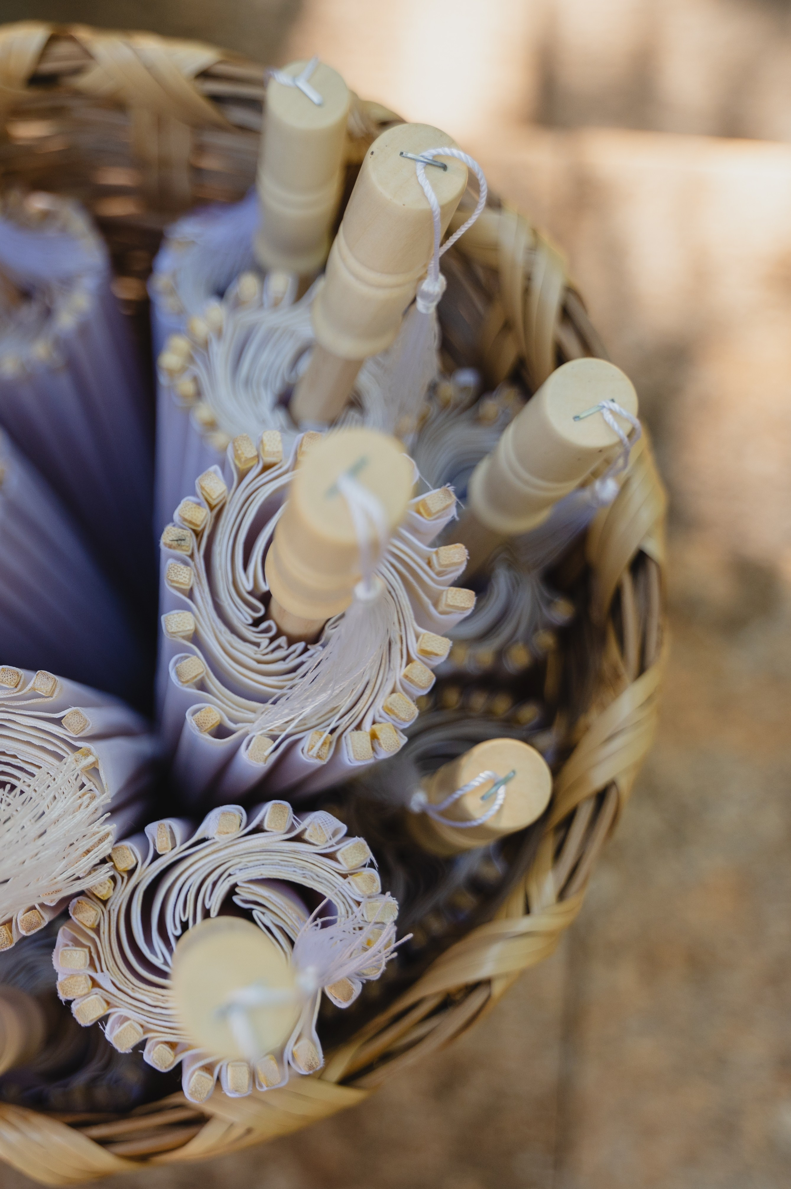 Gaby & Jorge. Antonio Soberano Photography