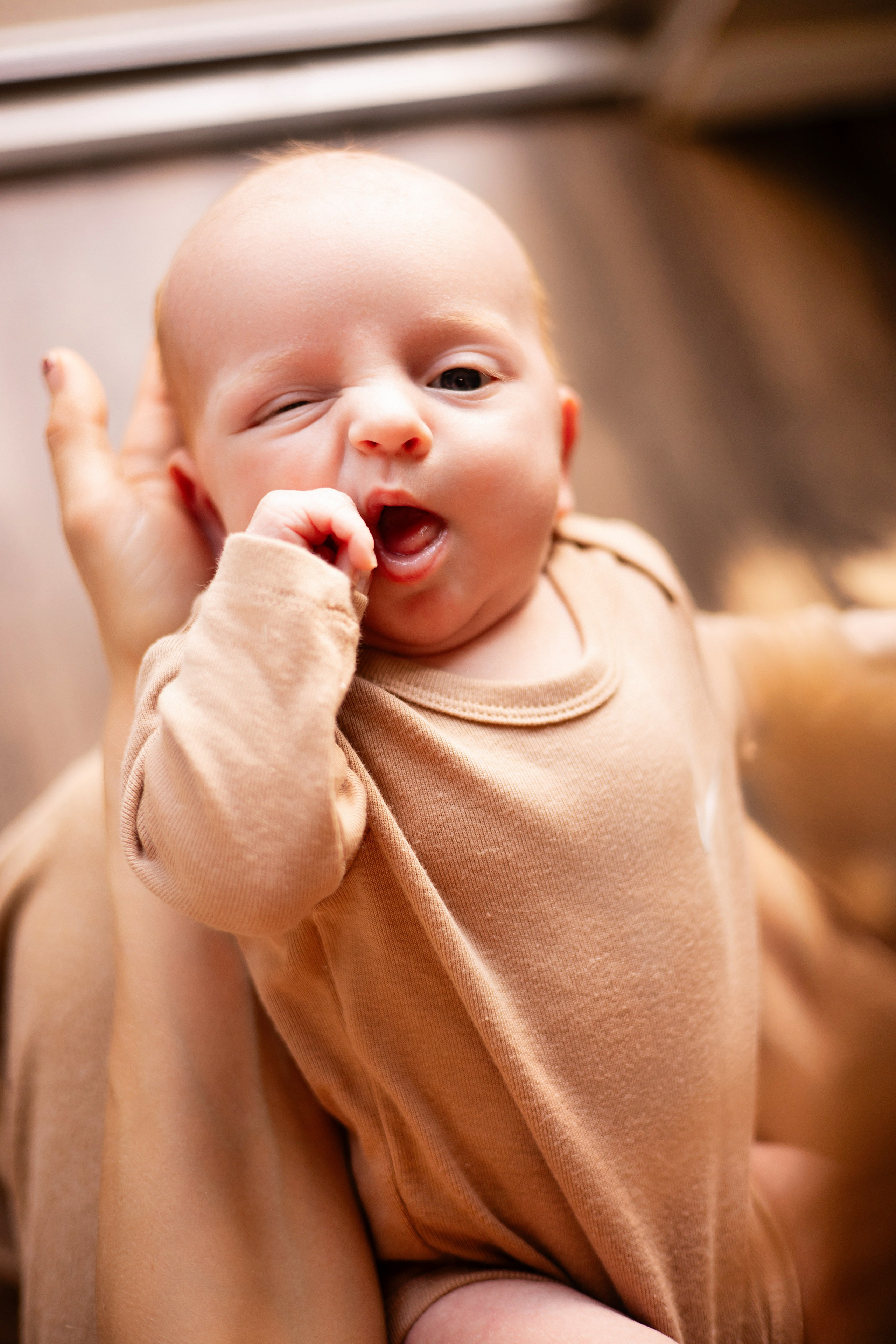 Newborn in a basket surrounded by a blanket and pillows