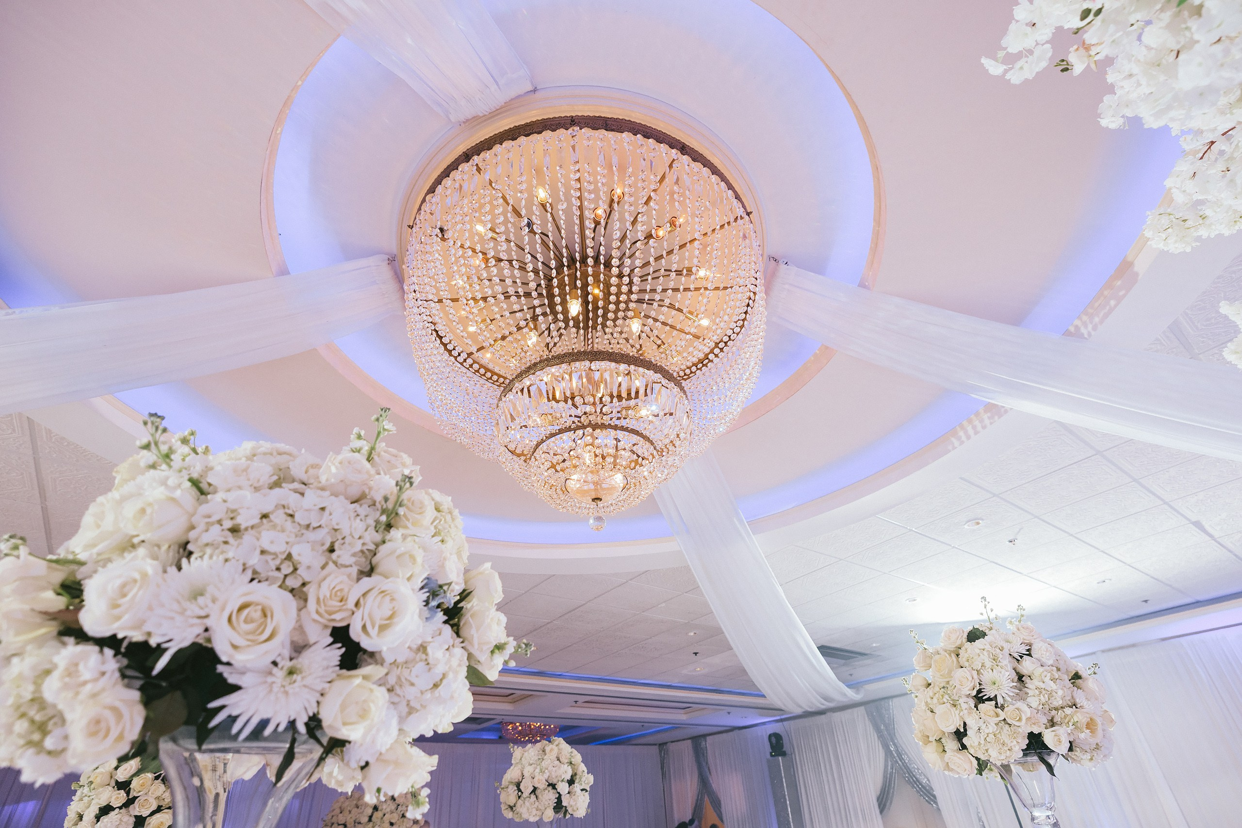 06.08.2025 Wedding. Wedding family event photographer in Chicago Nick Yushevich