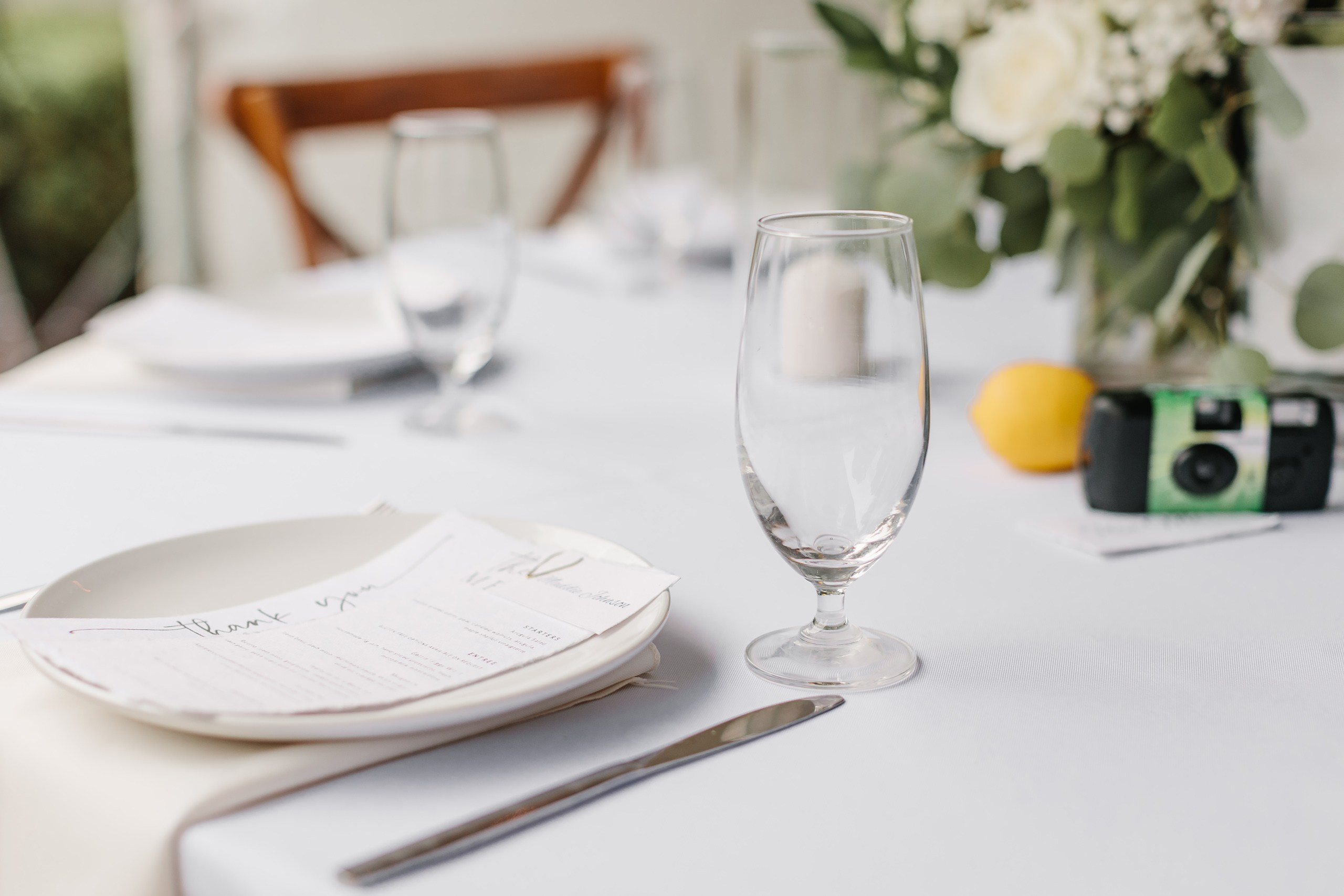 10.08.2023 Wedding. Wedding family event photographer in Chicago Nick Yushevich