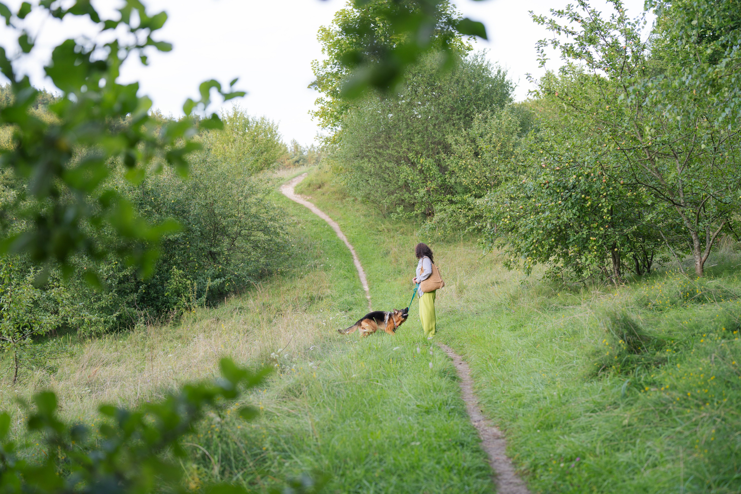 Patyriminė fotosesija su augintiniu, augintiniu fotografija, šuns fotosesija, fotosesija gamtoje, šeimininko ir šuns fotosesija, su daug juoko, emocijų