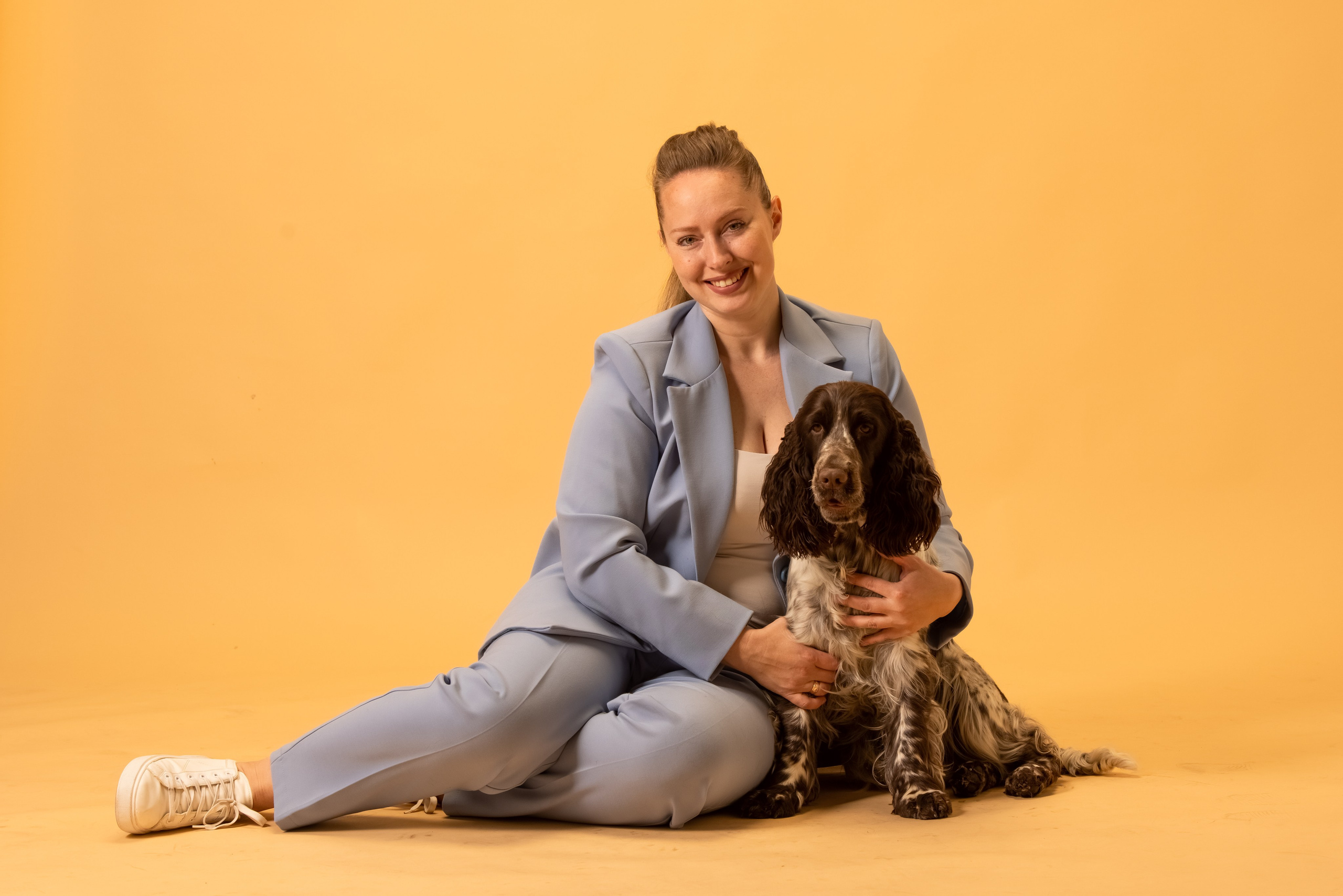 English Springer Spaniel female show dog international bloodlines