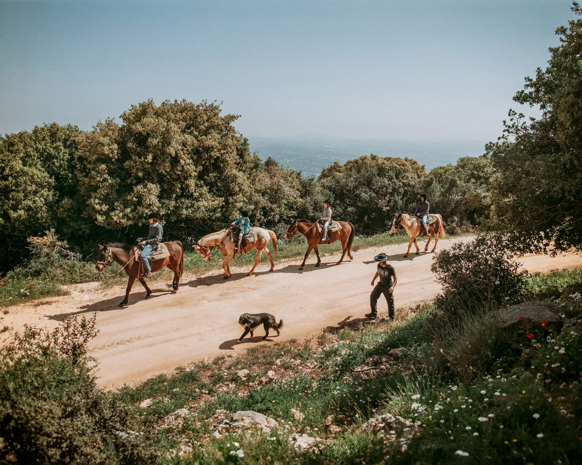 Family riding horses through the hills of Mount Carmel, near Beit Oren. George TLV — Professional photographer and retoucher in Israel