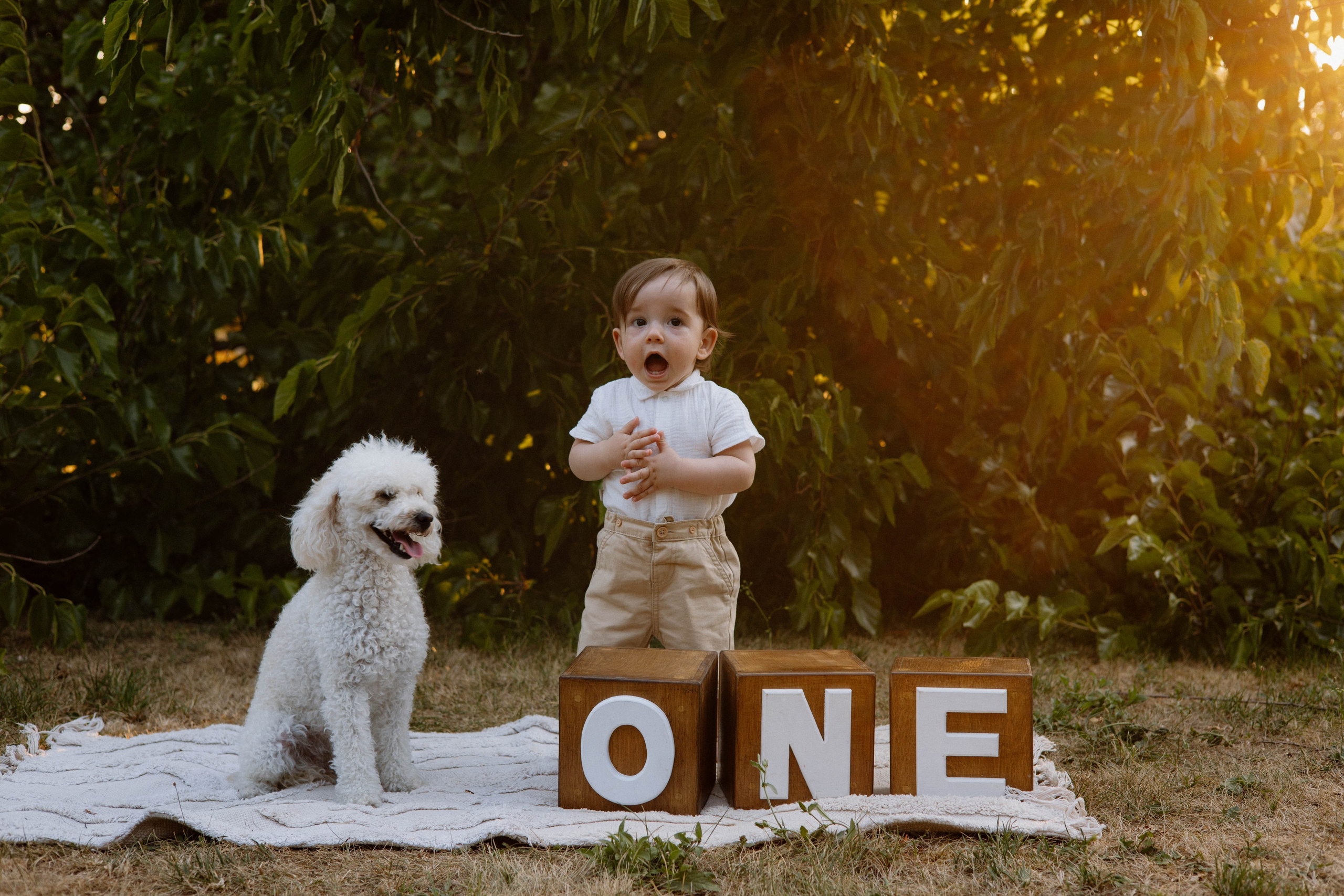 Smash Cake Photography. Family and Wedding Photographer