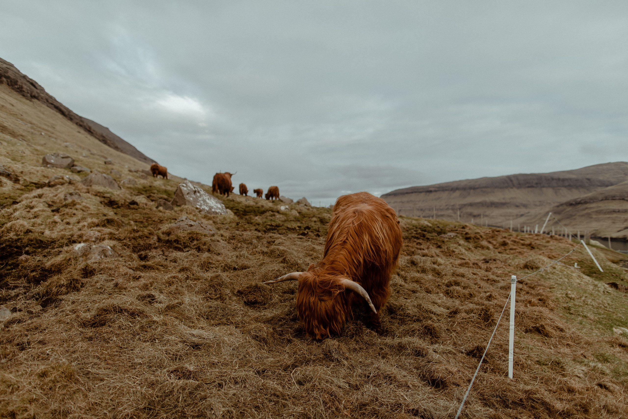 Faroe Islands Elopement Photographer. Iceland elopement photographer & videographer