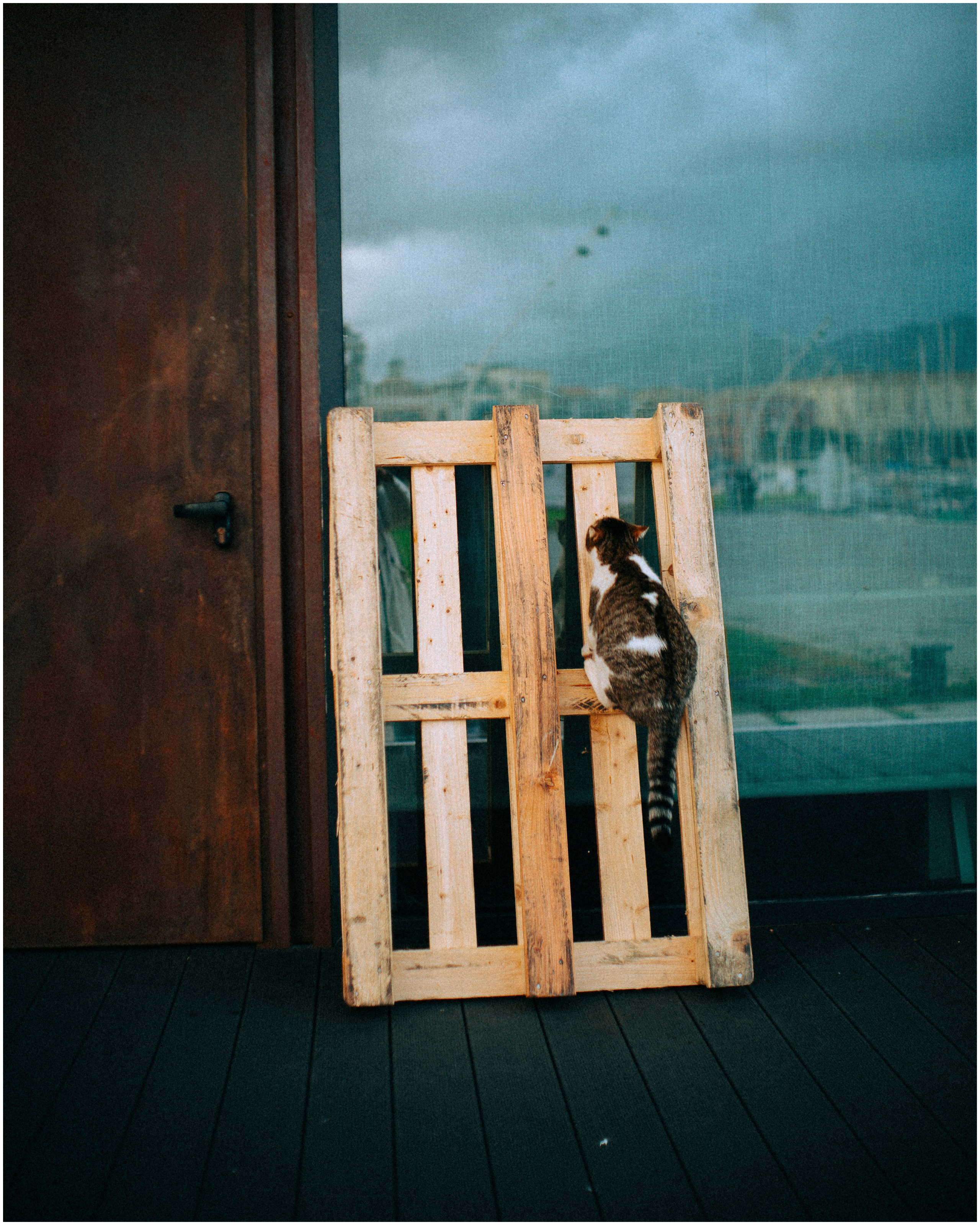 PALERMO. Photographer Inna Mendelson