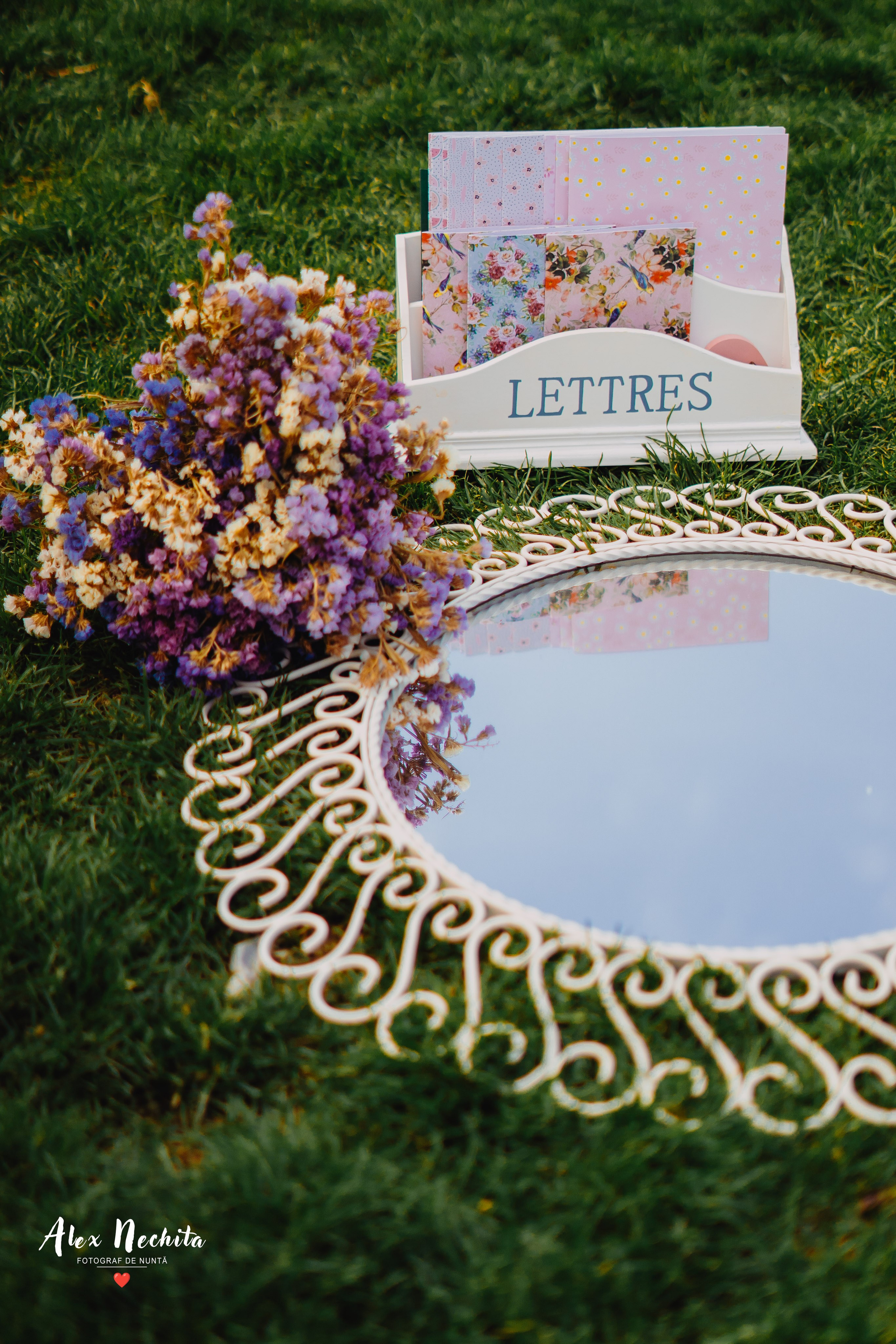 Aniversare în parc. Foto-Video Nunta Iasi, Suceava, Bucuresti / Disponibilitate 2025 — 2026 — 2027