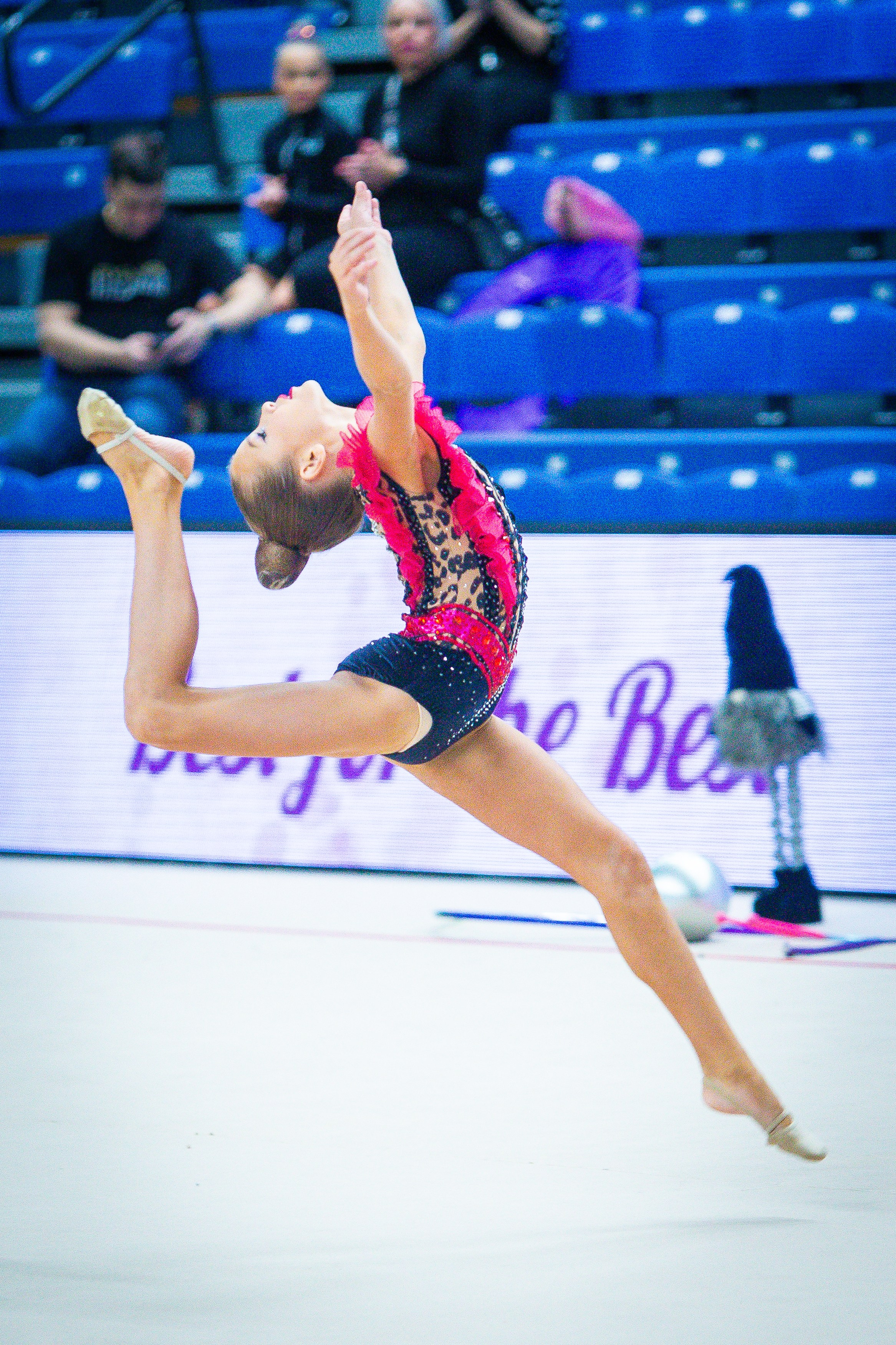 Галерея 2. Спортивная фотография, видео, трансляции