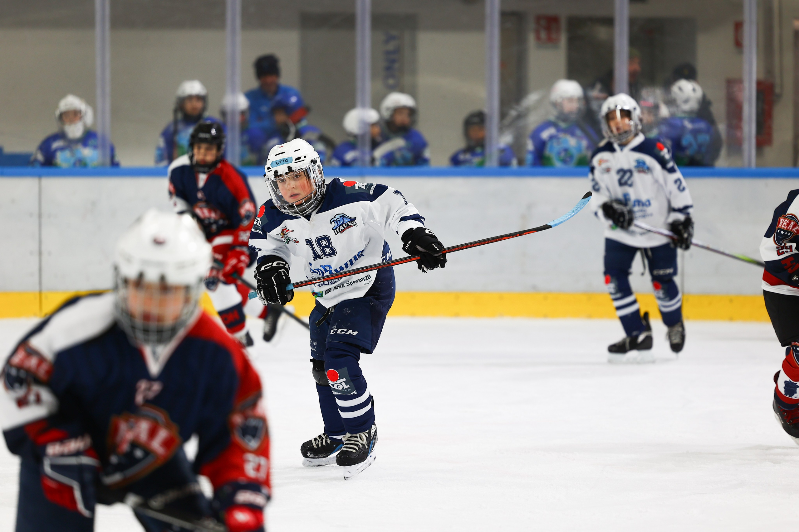 Sport Events. Photographer, Videomaker, Drone, Padova, Venice, Italy, Elena Radchenko