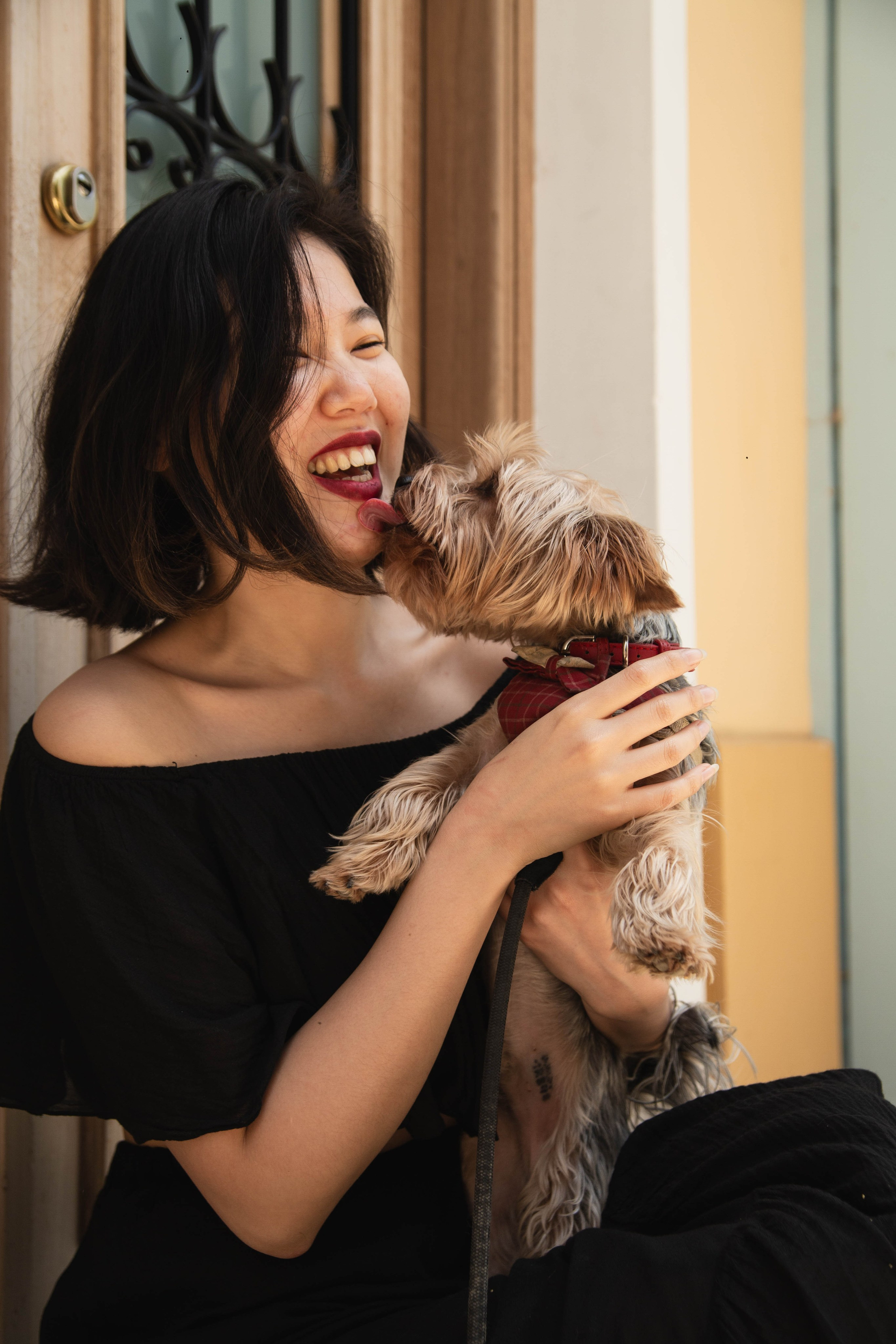 Portrait Session with Your Dog in Athens | Pet Photography