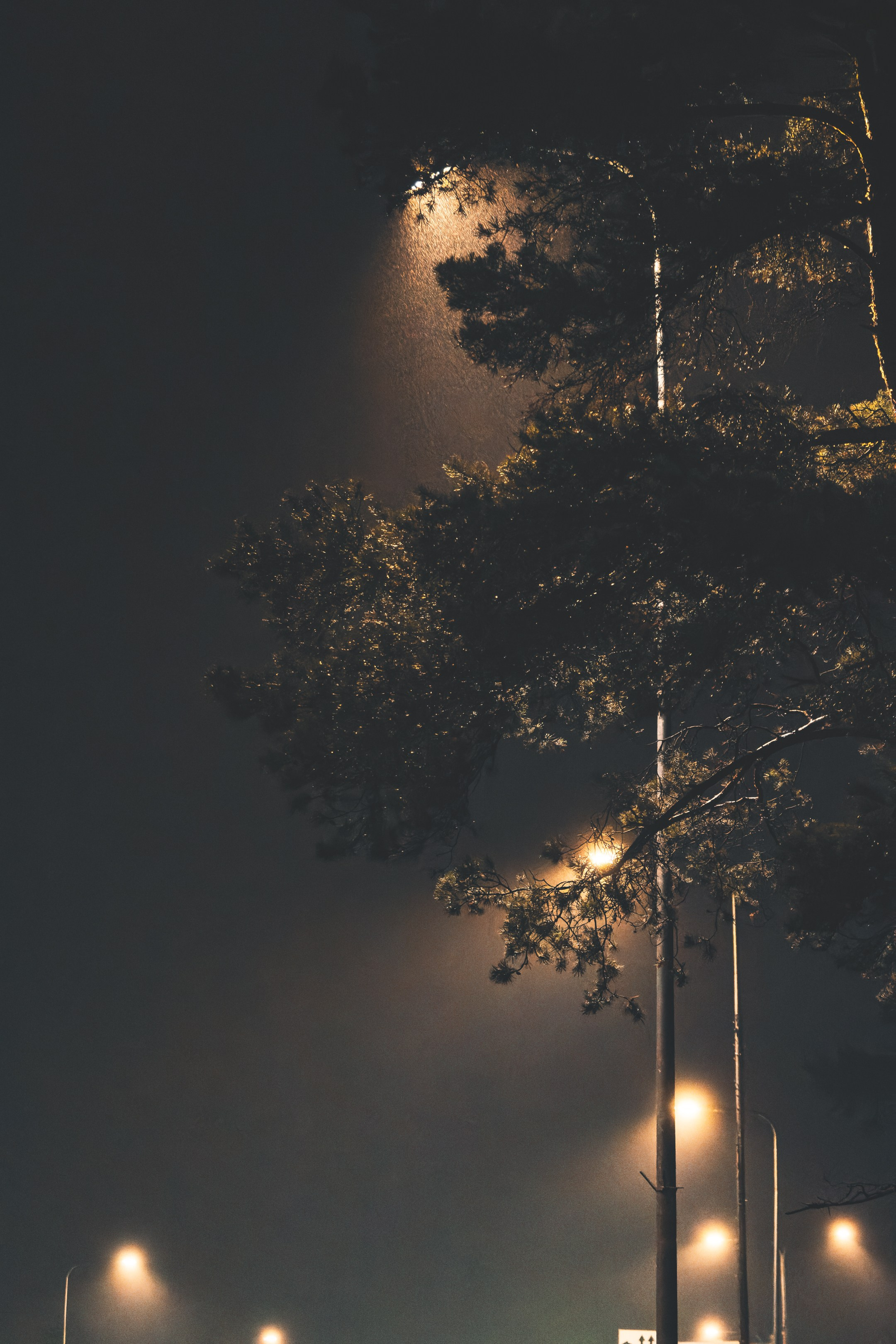 Eelmine öö. Nebula 25 — Fotod teie hingele