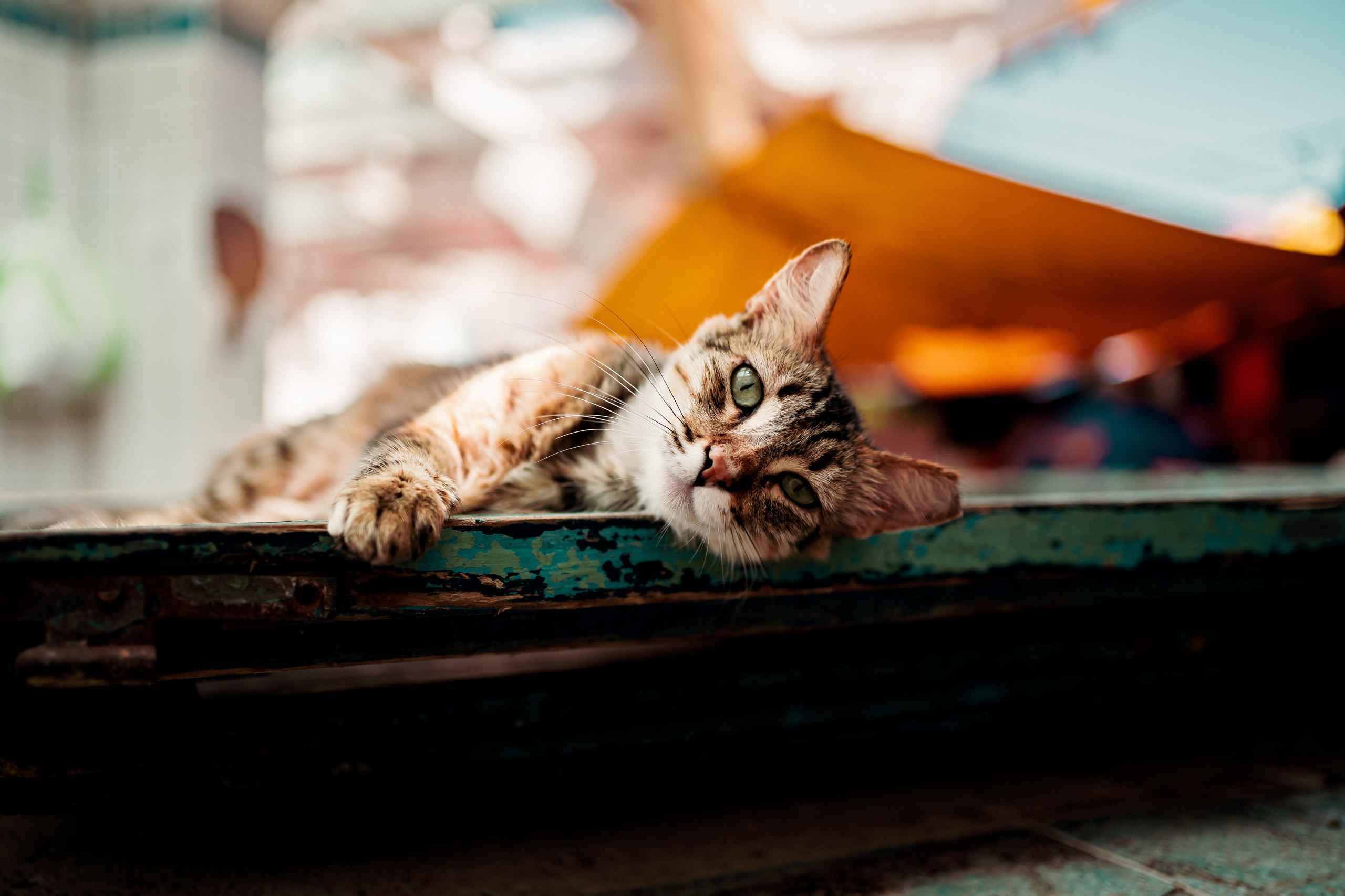 Worldscapes. Catarina Calheiros