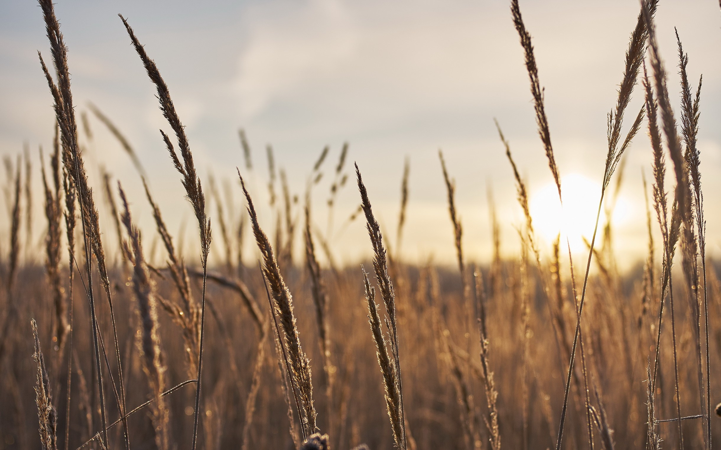 Landscapes by Yury Popkov. Yuri Popkov | Photographer