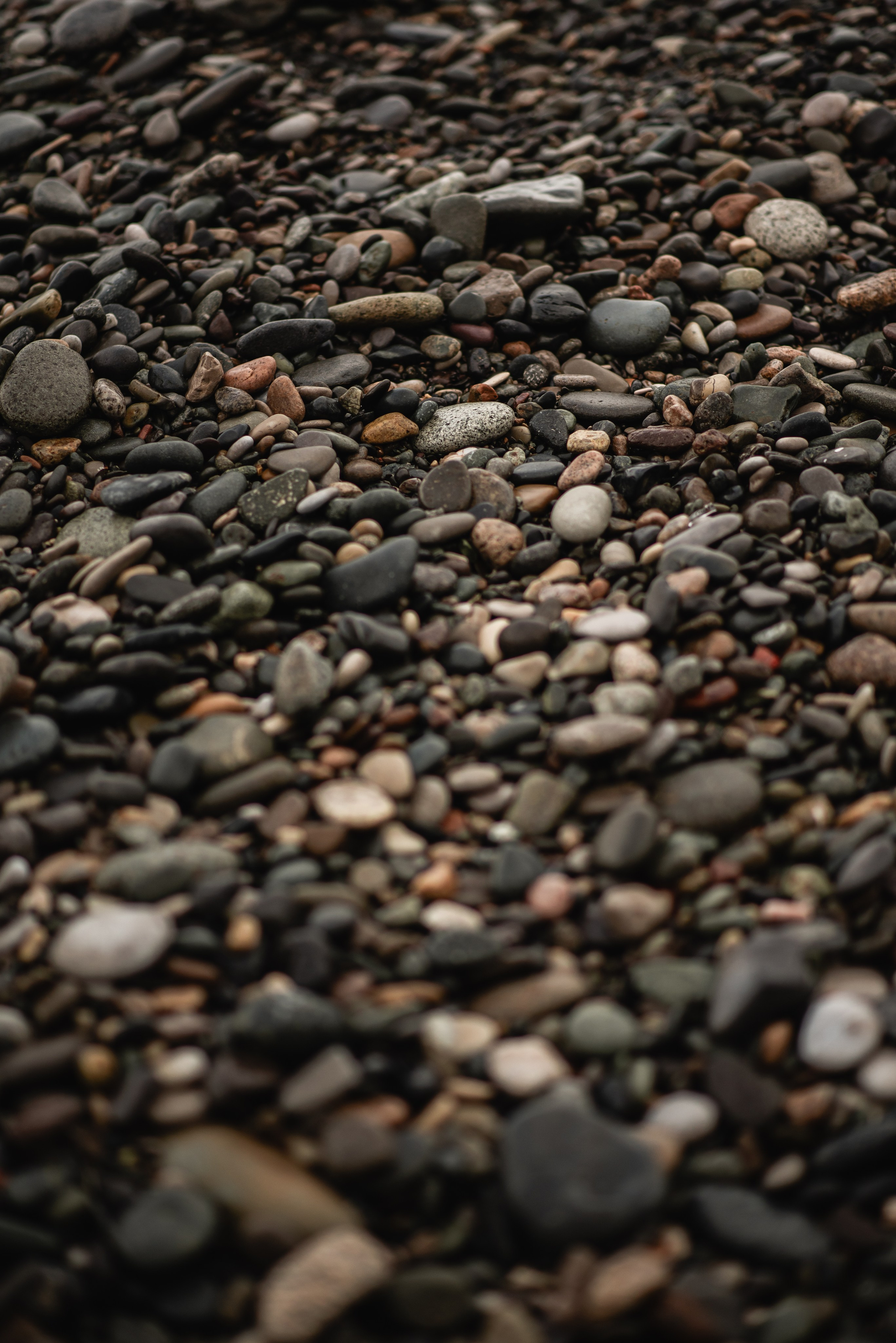 Lifeguard. Ekaterina Verbitskaya. Photography