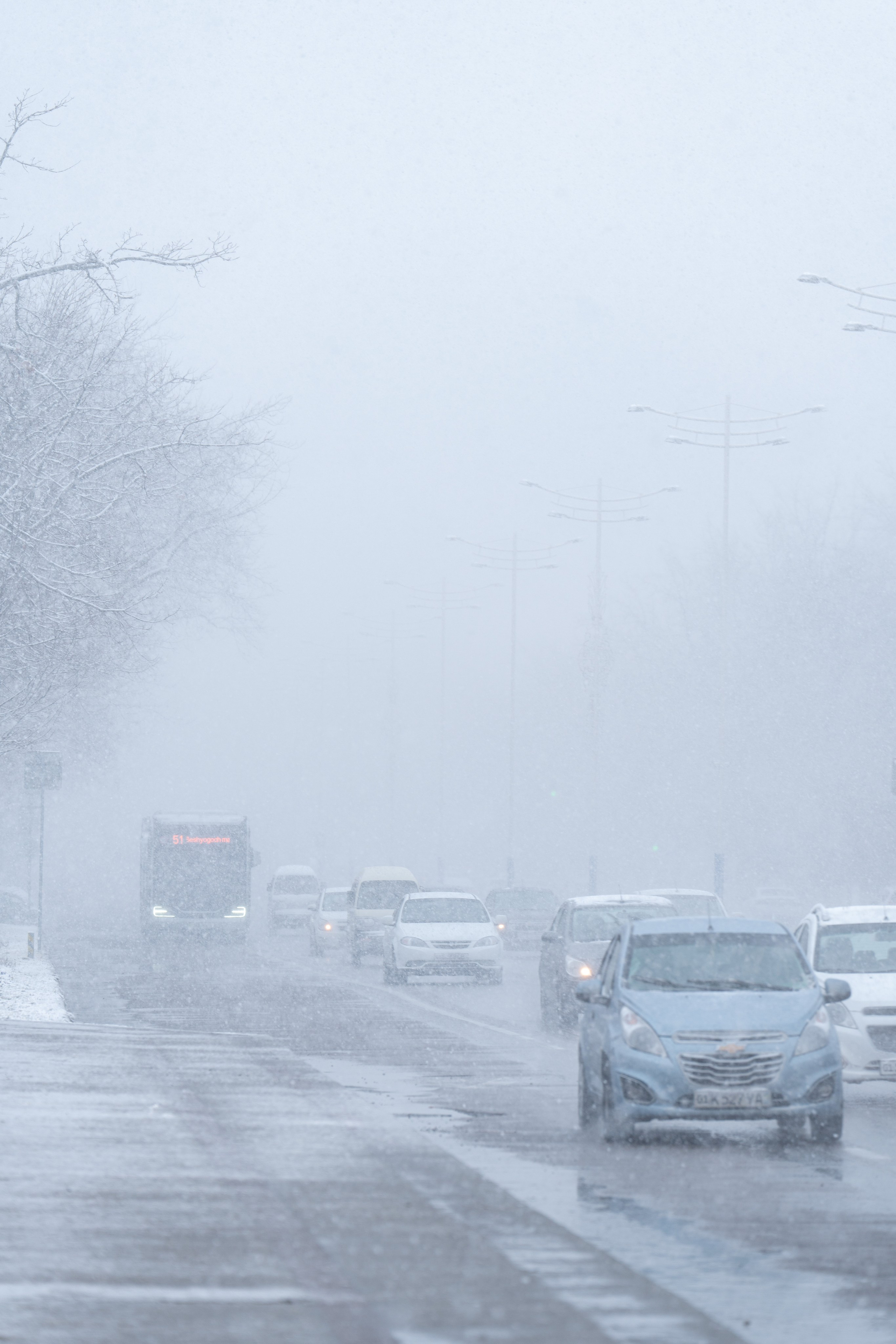 Первый снег в 2024 году. Георгий Намазов | Фотограф в Ташкенте