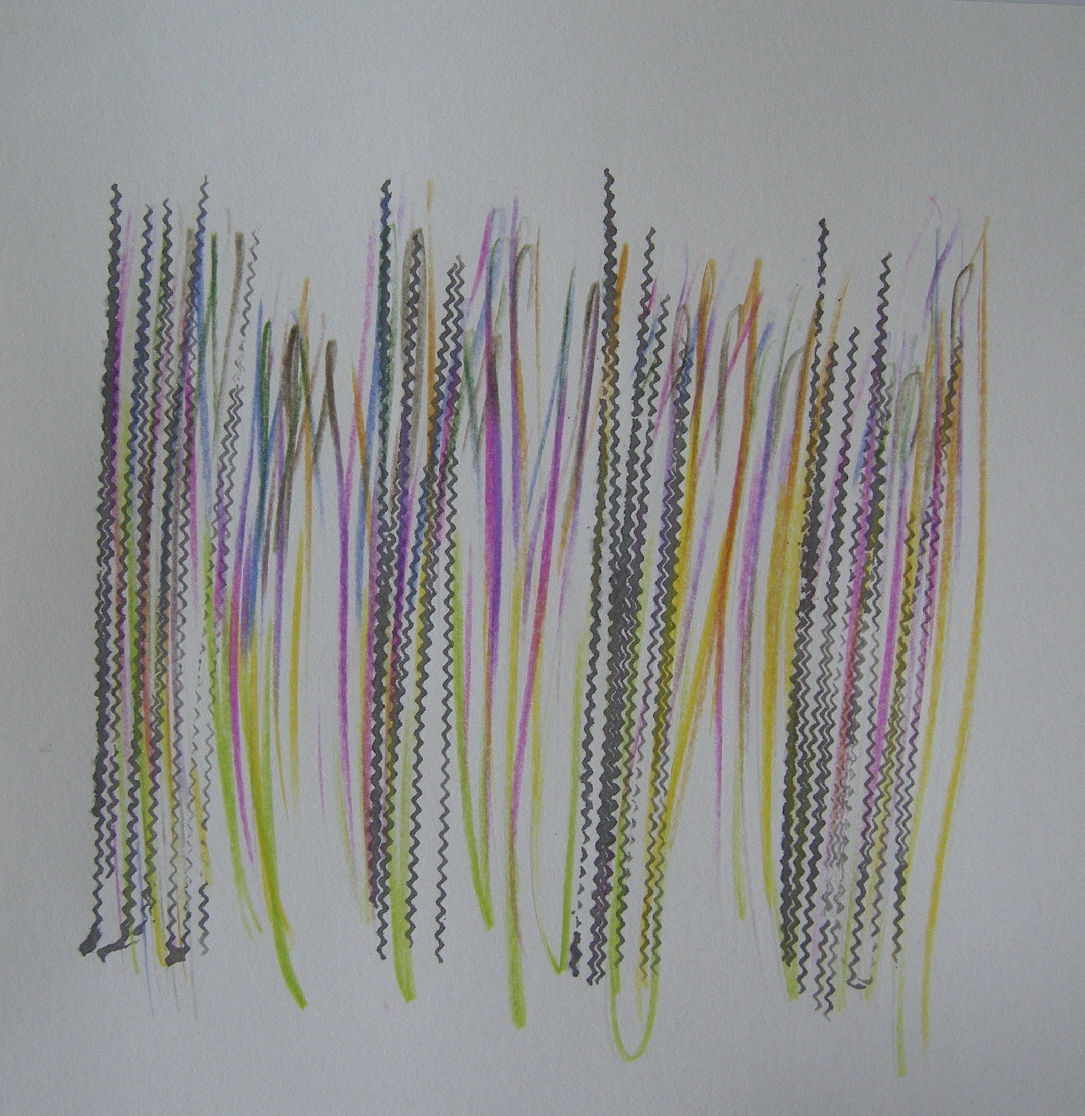 O.T. 2024 - 30x30