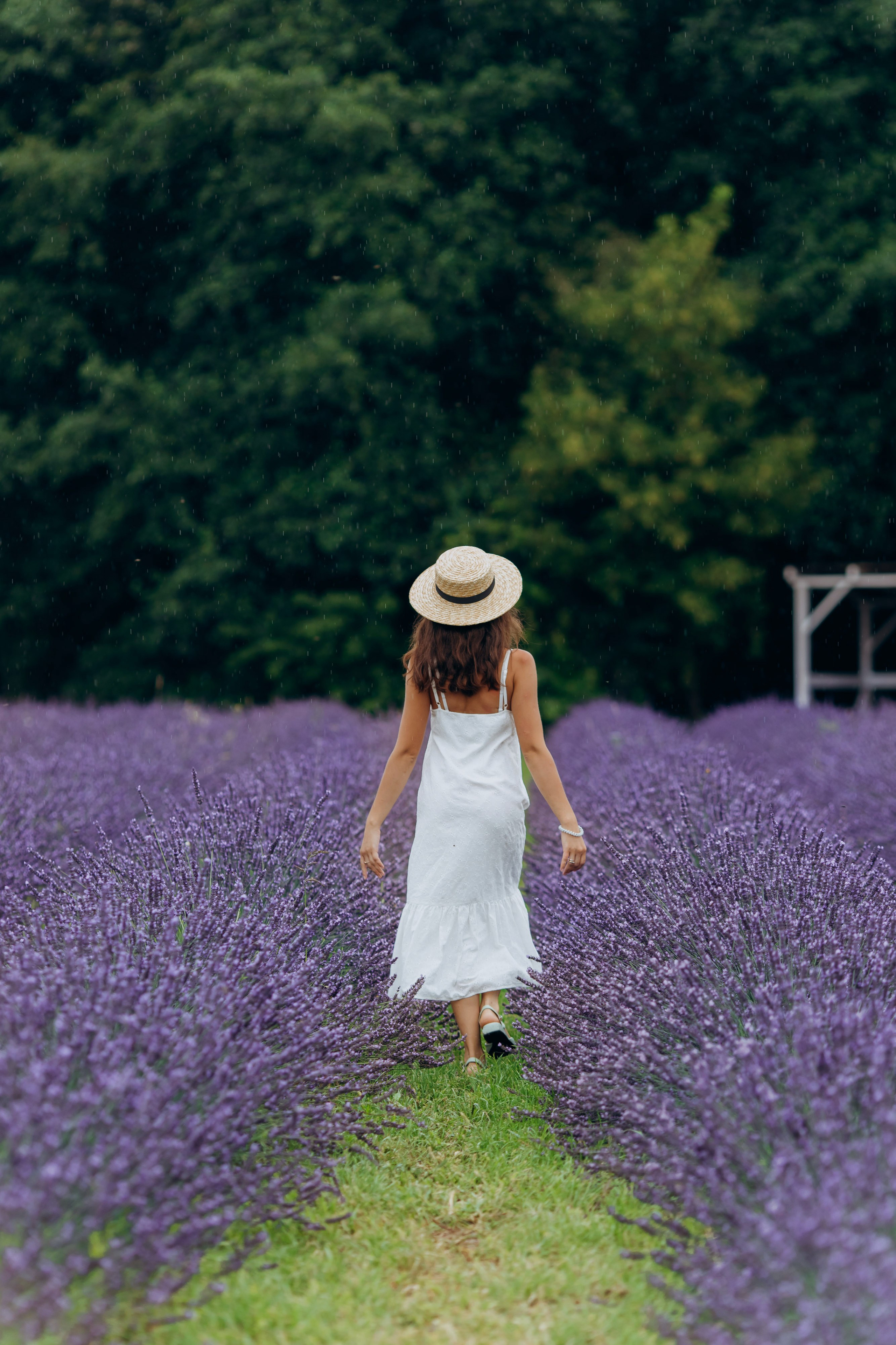 Жіночі Портрети. Ірина Терещук