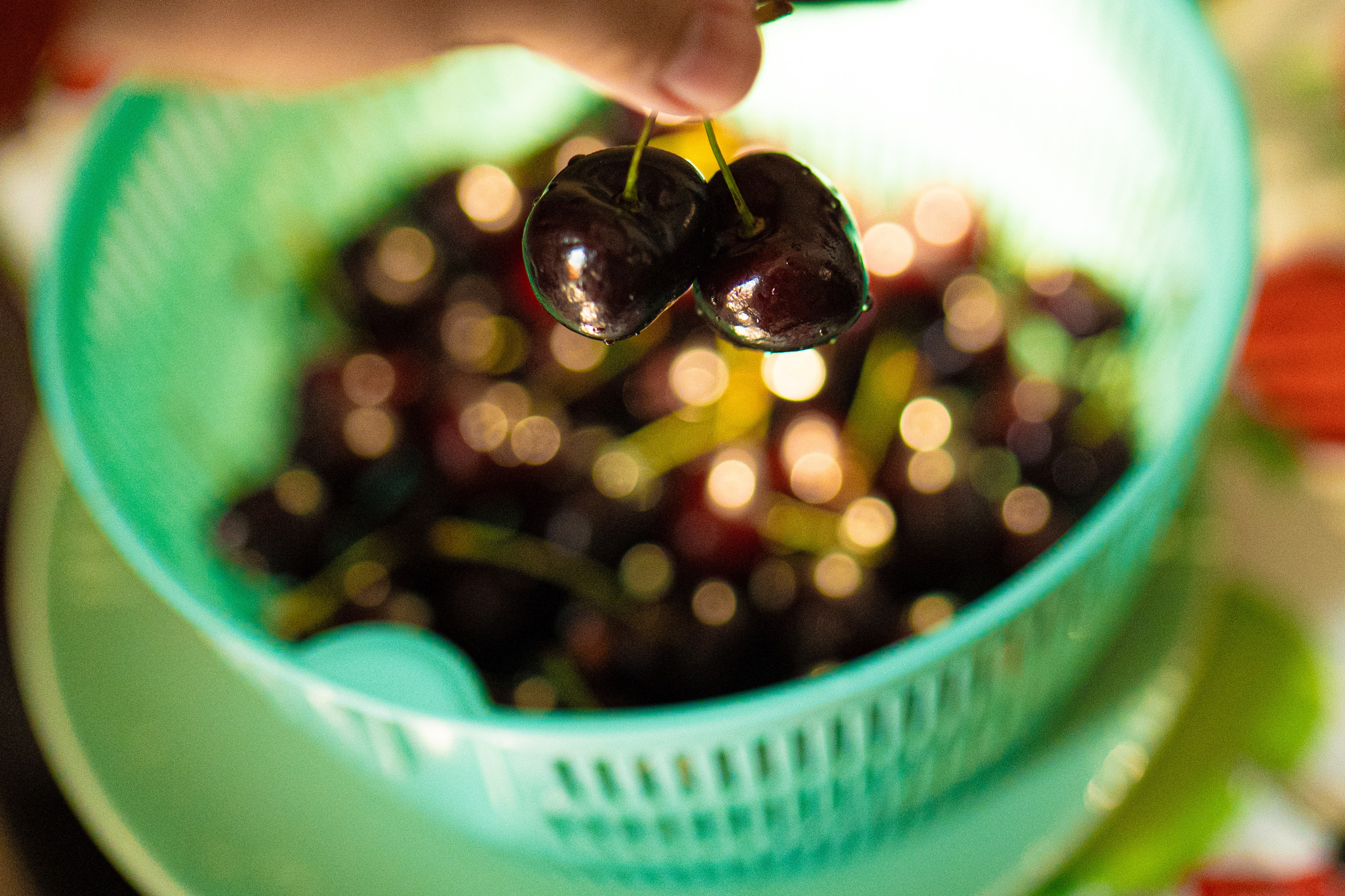 Фото Бинго — Food съемка. Отражение