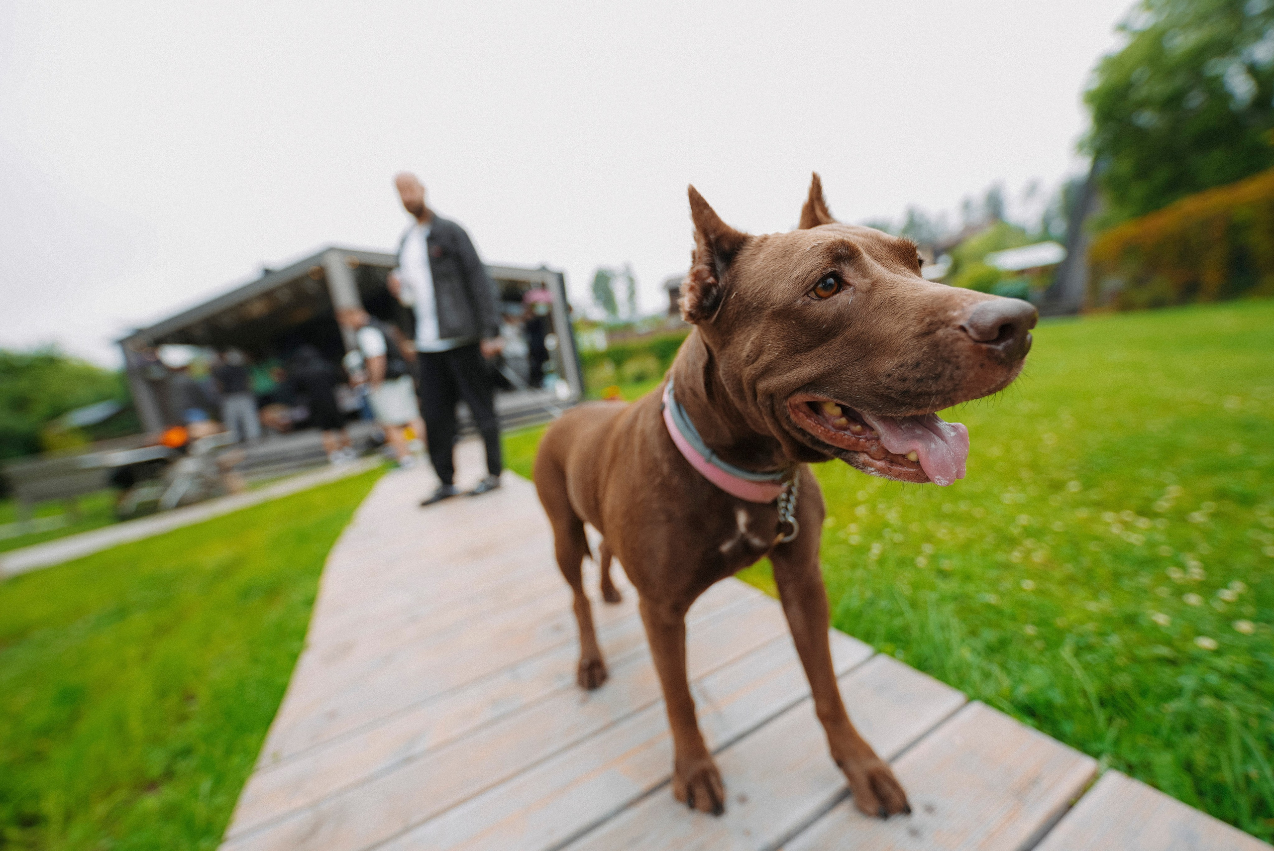 2025. Стрит-фотография, полная абсурда, идиотизма и красоты