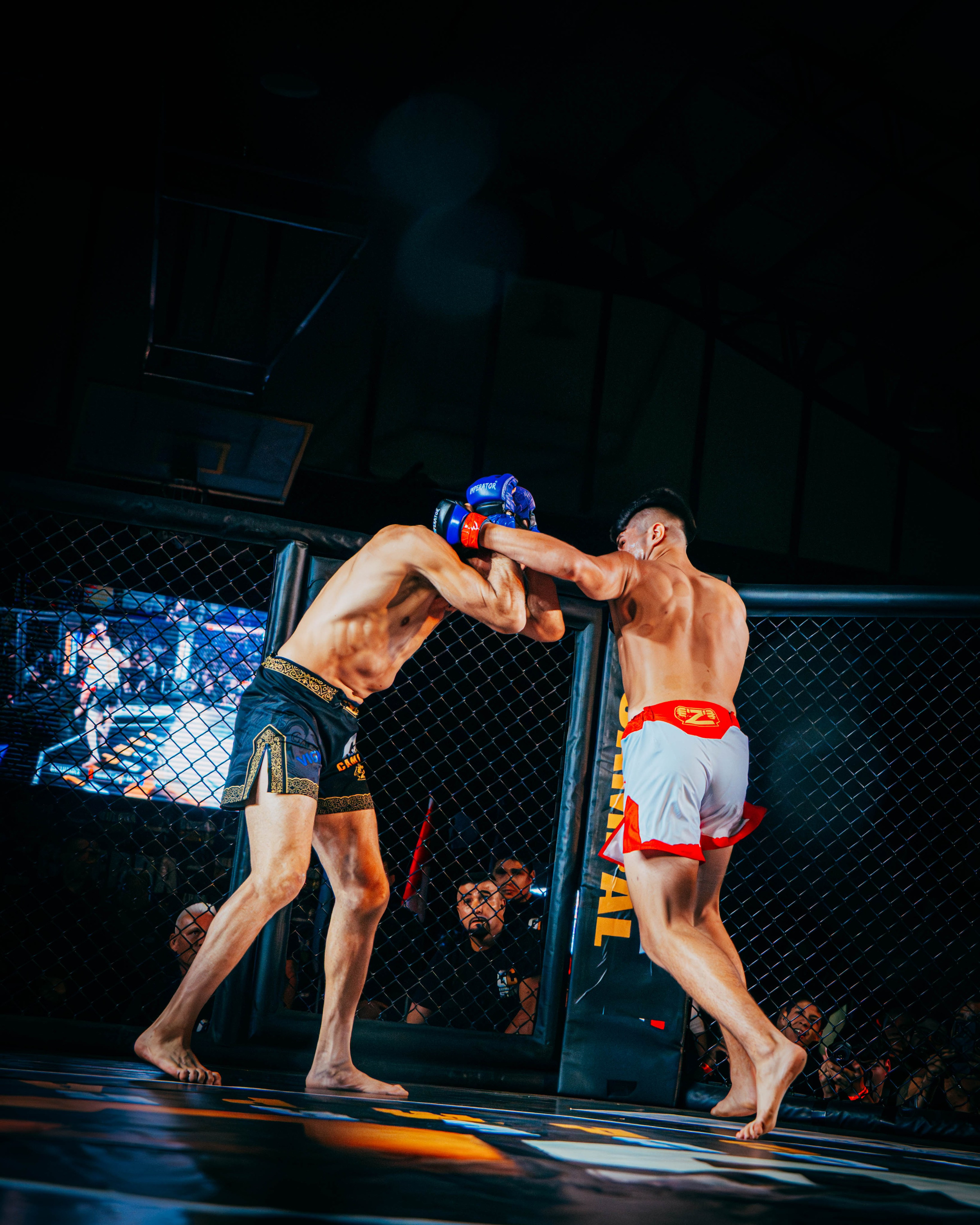 GUERRA CAMPAL. DEYA BELTRAN Maquilladora, fotógrafa y vídeos