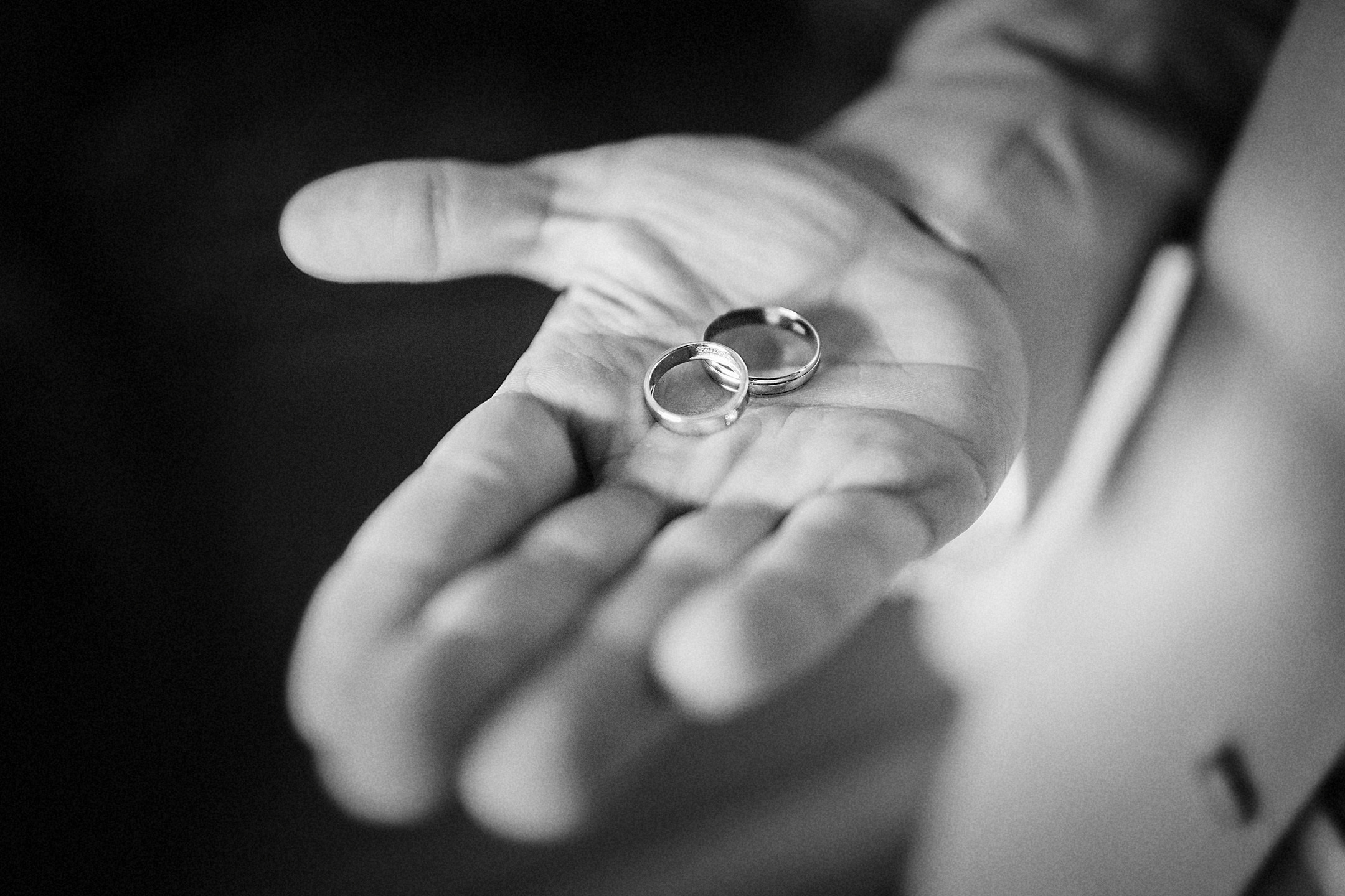 Wedding. Wedding family event photographer in Chicago Nick Yushevich