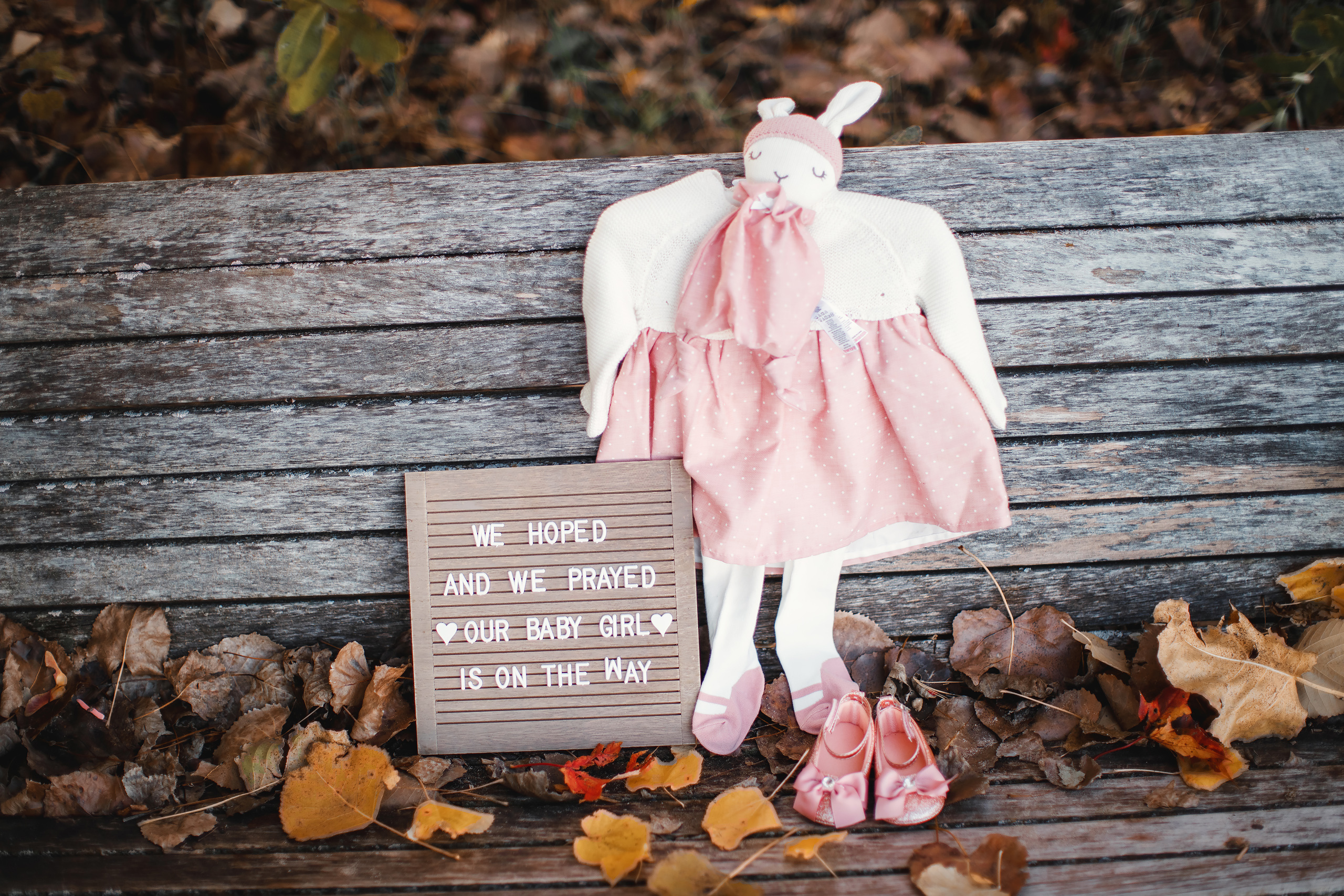 Maternity. Wedding family event photographer in Chicago Nick Yushevich