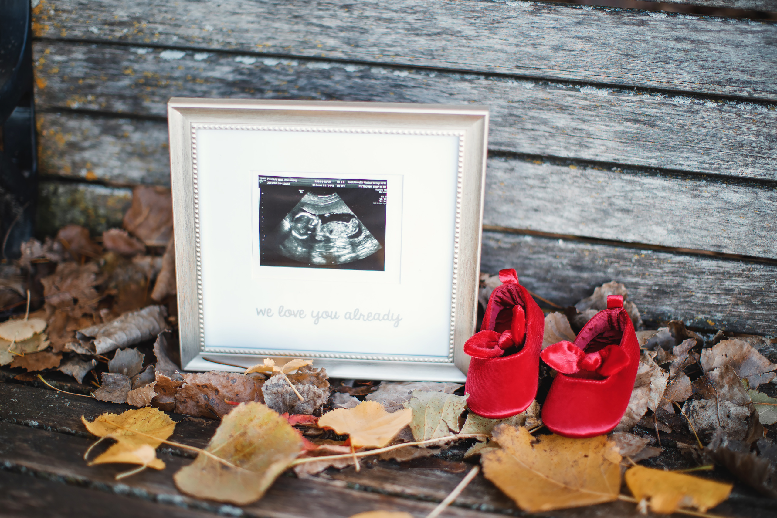 Maternity. Wedding family event photographer in Chicago Nick Yushevich