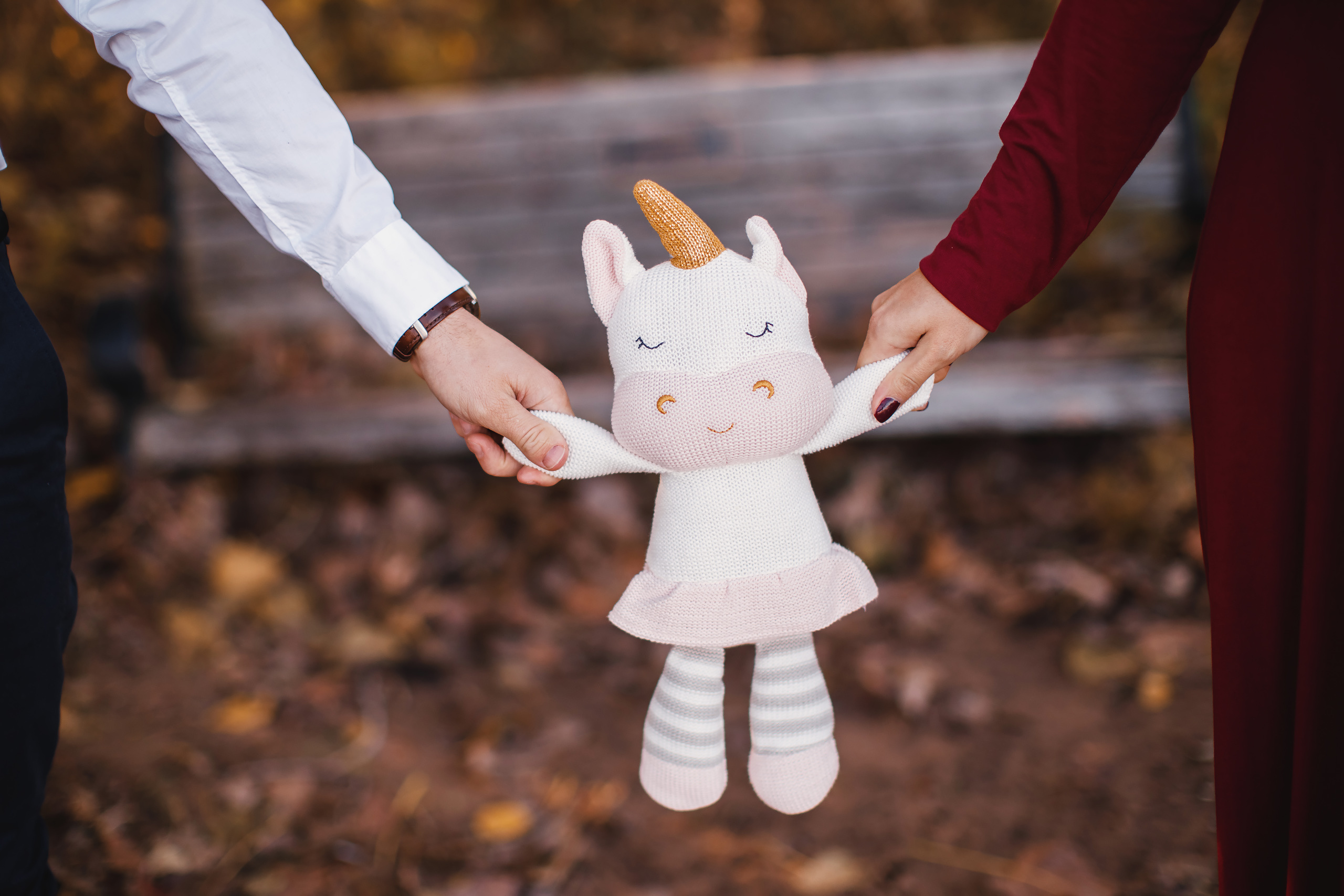 Maternity. Wedding family event photographer in Chicago Nick Yushevich