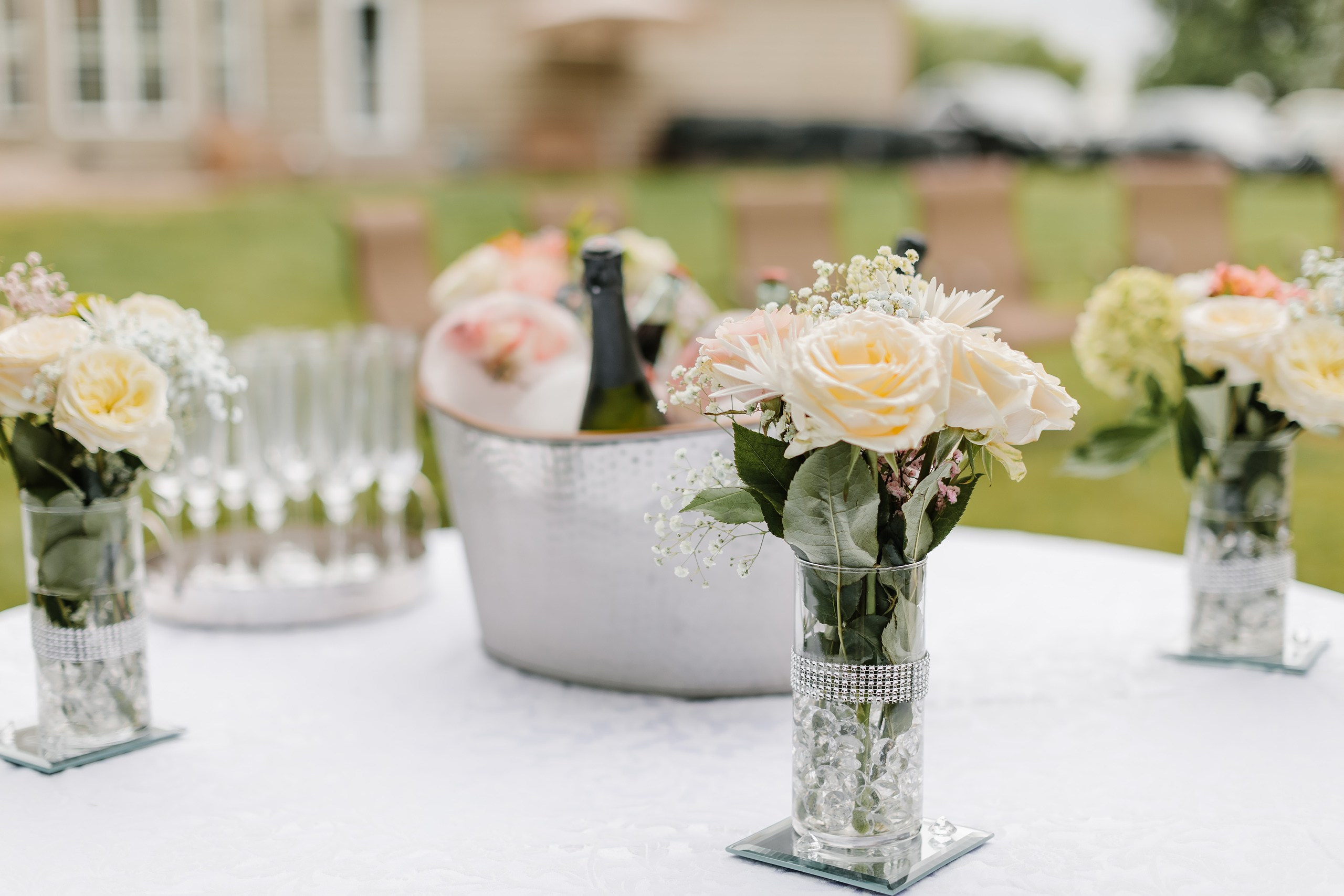 08.06.2024 Wedding. Wedding family event photographer in Chicago Nick Yushevich