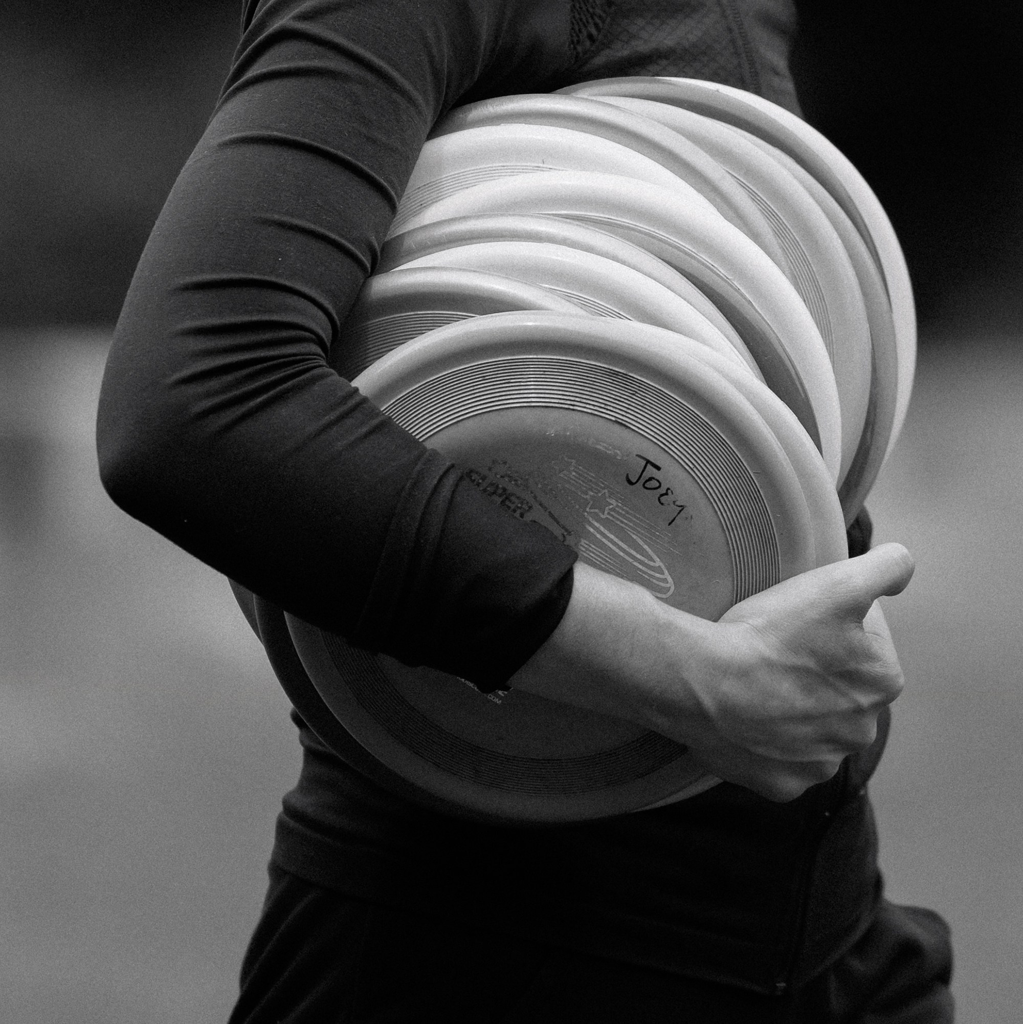 Latające psy, Wrocław'25. Kaja | fotograf psów we Wrocławiu