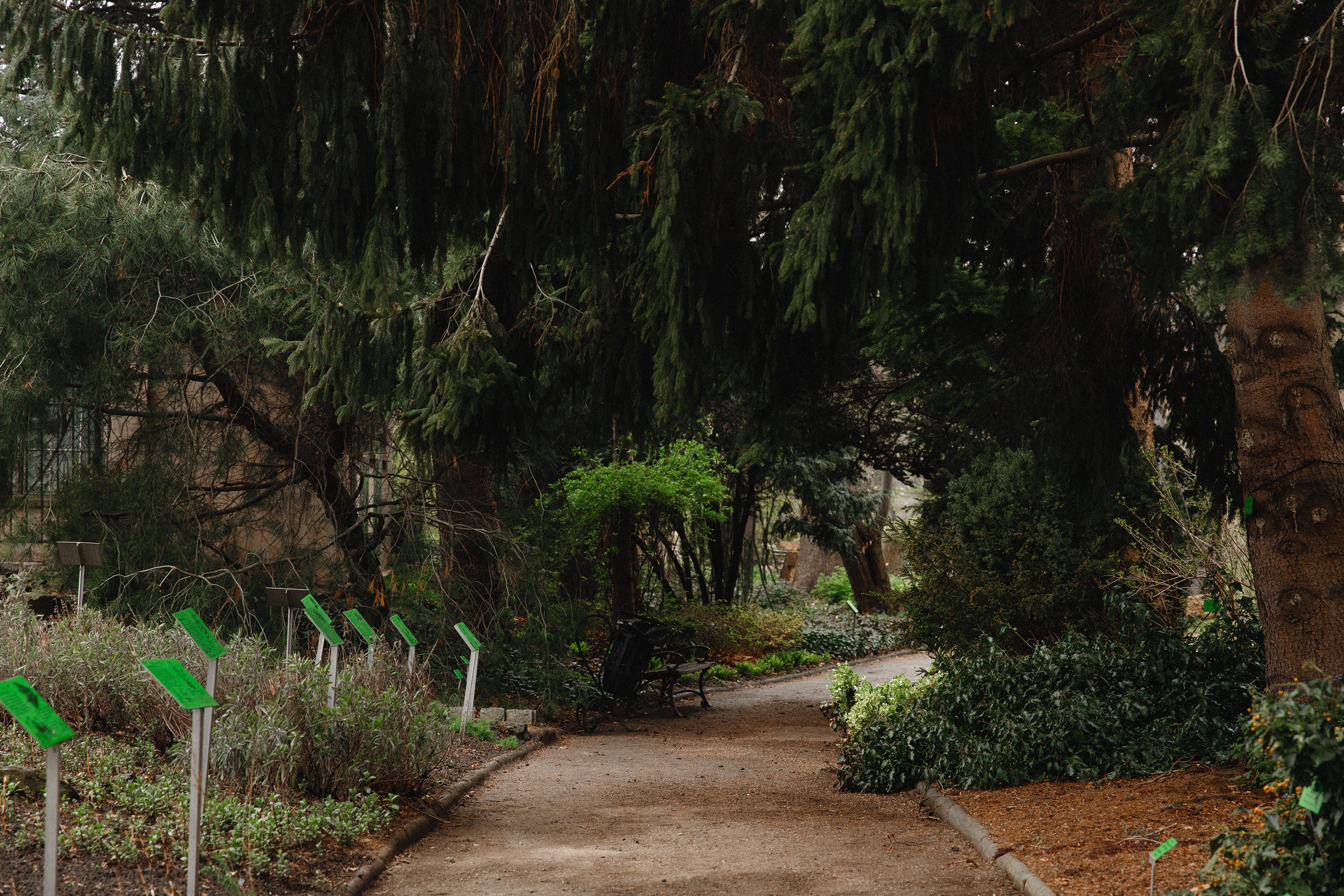 Botanical garden in Wroclaw. Kaja | fotograf we Wrocławiu | ludzie i psy