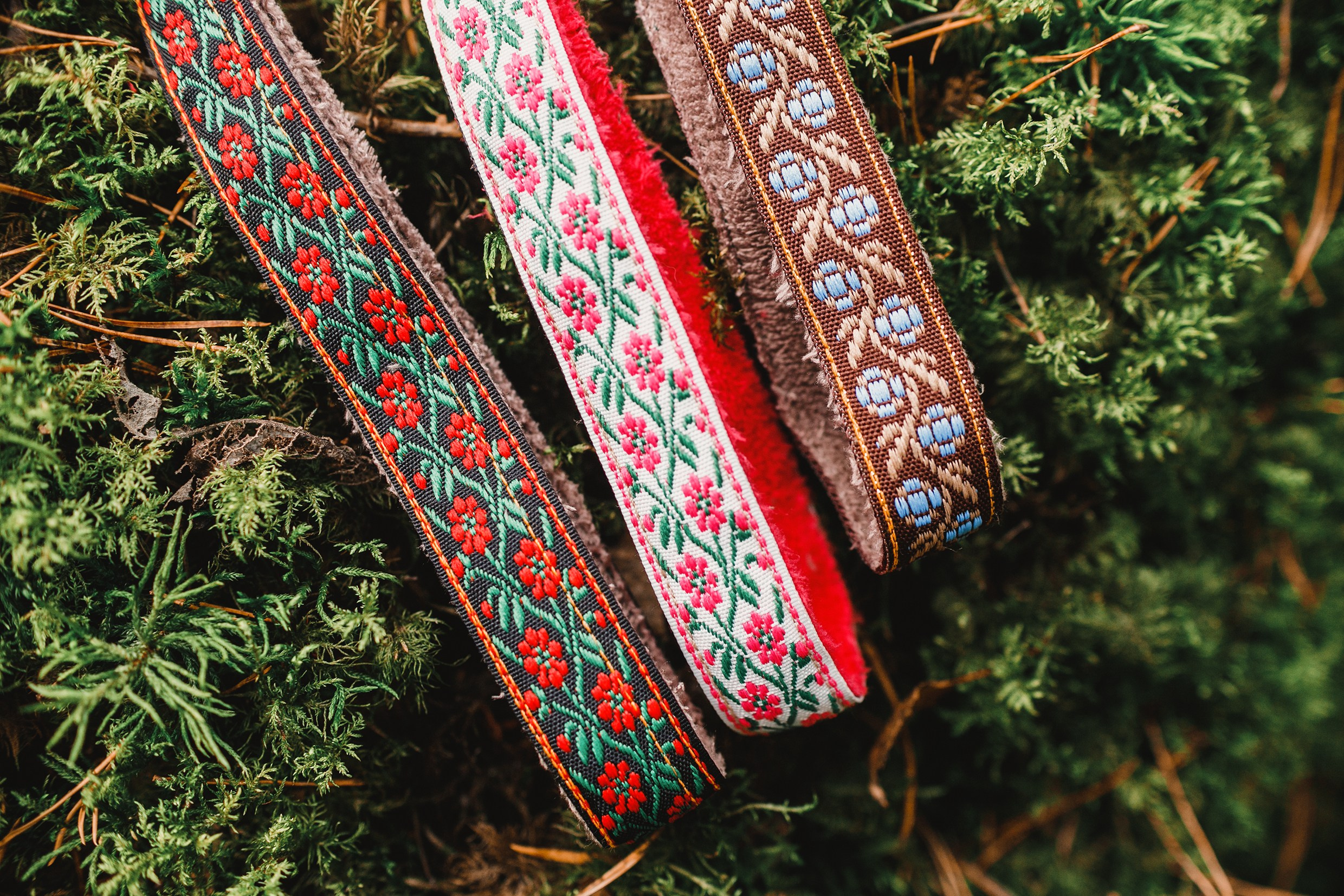 «Kasmach» dogs ammunition. Kaja | fotograf we Wrocławiu | ludzie i psy