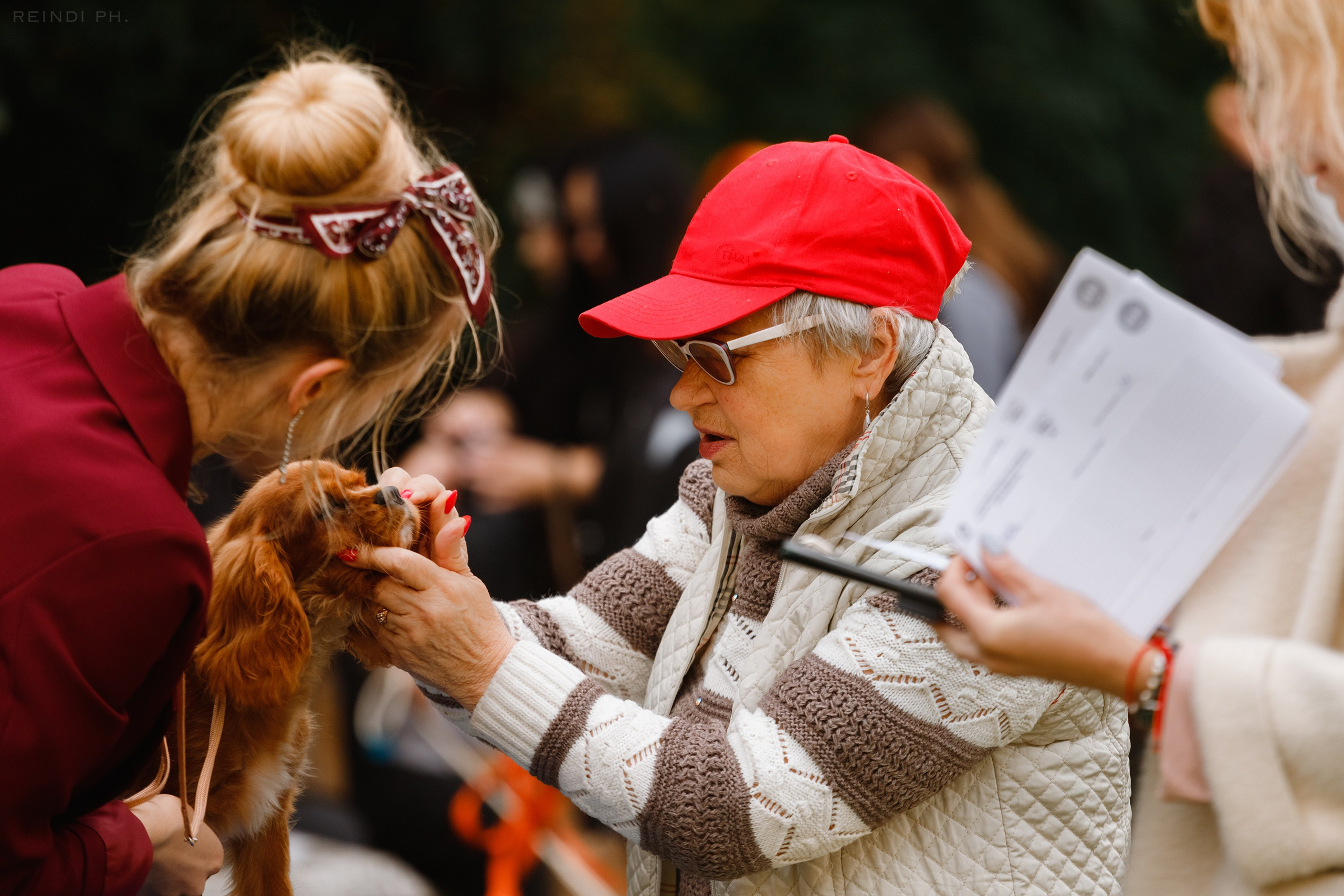 «Argus» dog show in Brest. Kaja | fotograf we Wrocławiu | ludzie i psy