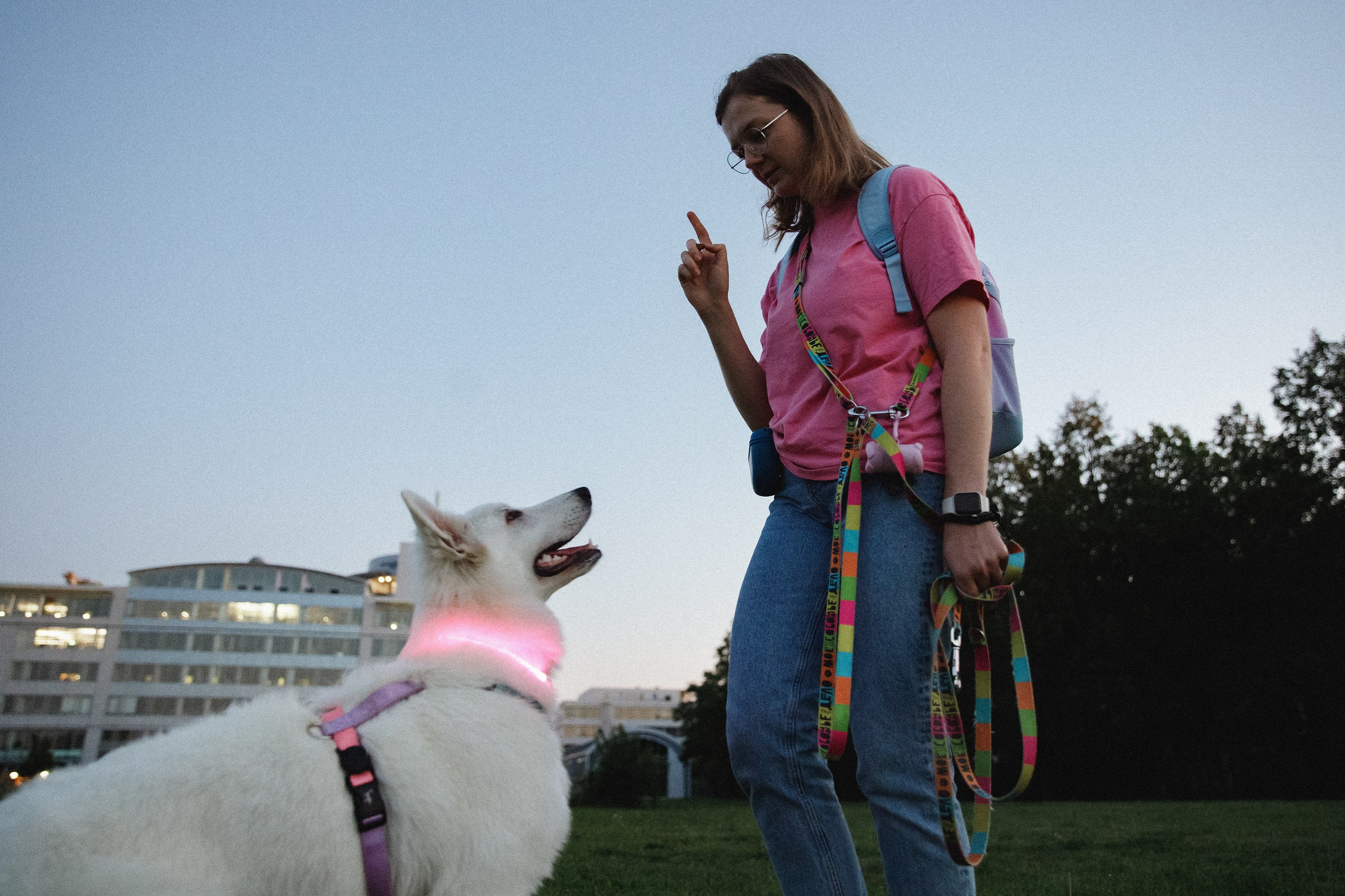 Astra in Leipzig. Kaja | fotograf we Wrocławiu | ludzie i psy